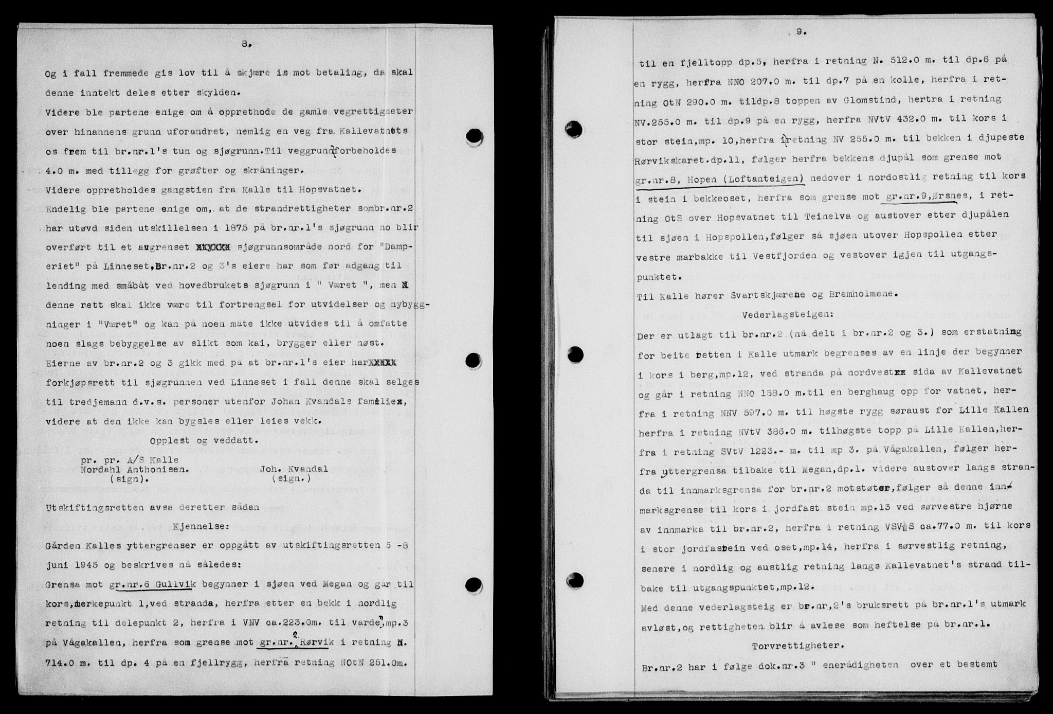 Lofoten sorenskriveri, SAT/A-0017/1/2/2C/L0016a: Pantebok nr. 16a, 1947-1947, Dagboknr: 653/1947