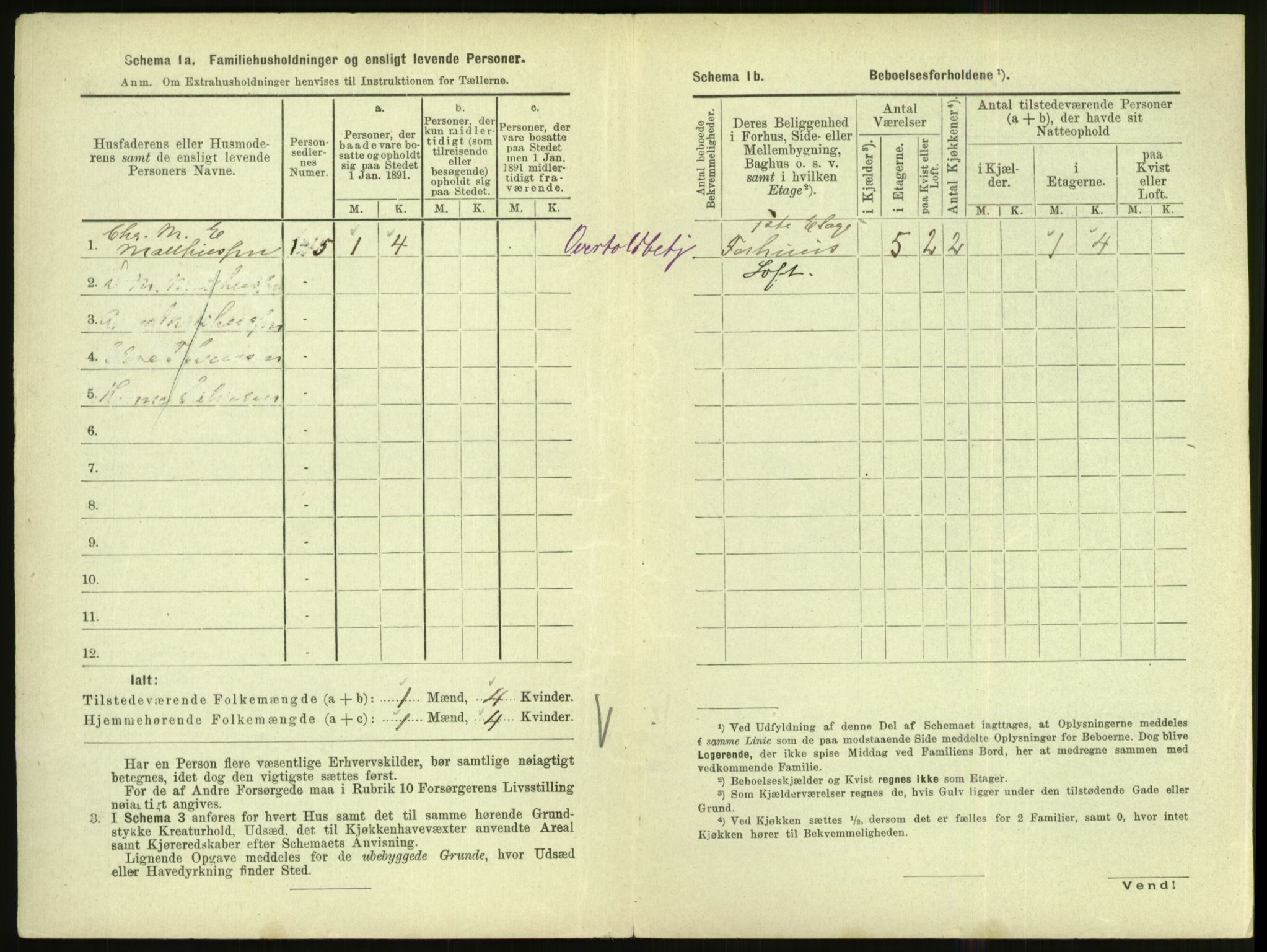 RA, Folketelling 1891 for 1002 Mandal ladested, 1891, s. 208