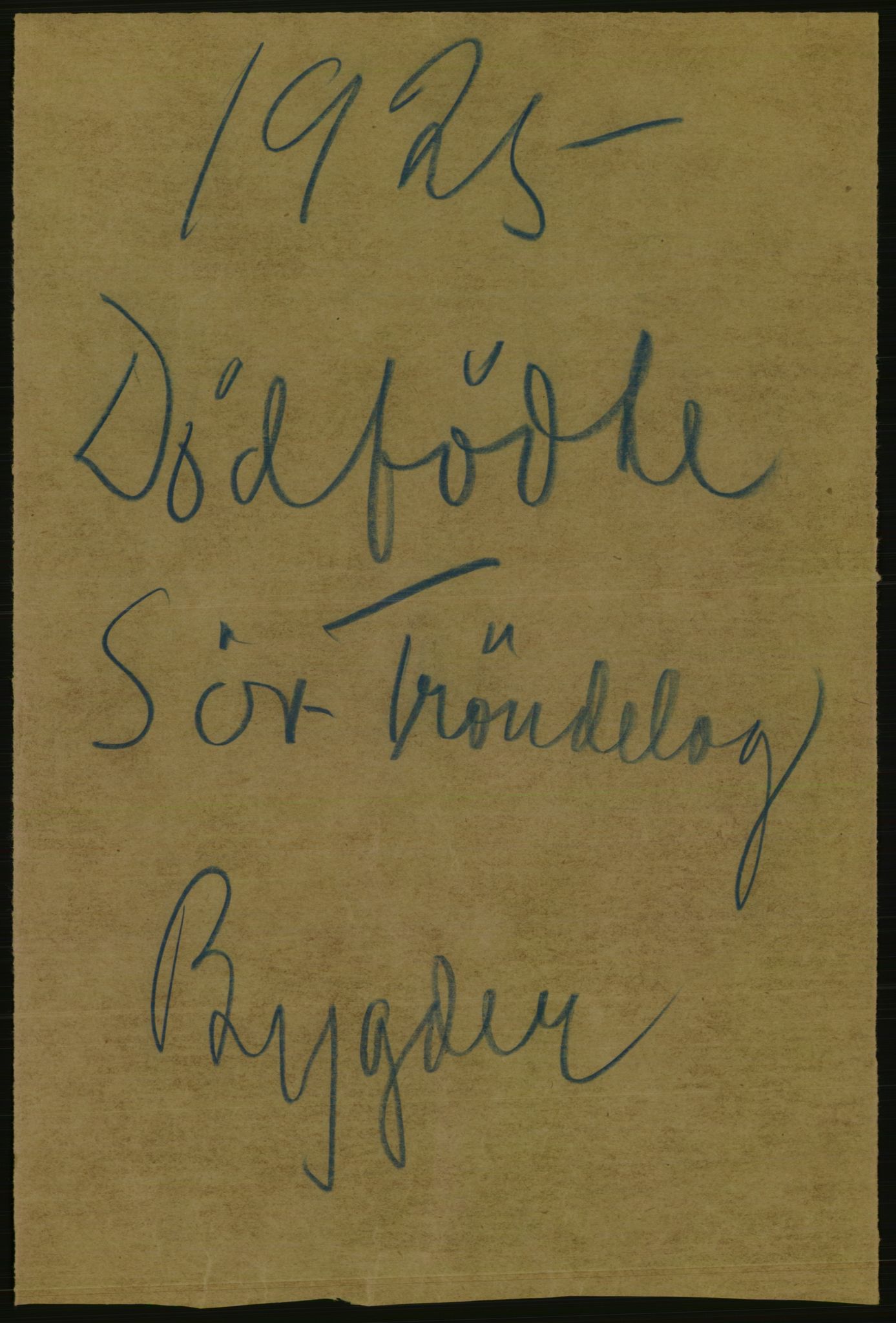 Statistisk sentralbyrå, Sosiodemografiske emner, Befolkning, AV/RA-S-2228/D/Df/Dfc/Dfce/L0037: S. Trøndelag fylke: Gifte, døde, dødfødte. Bygder., 1925, s. 1