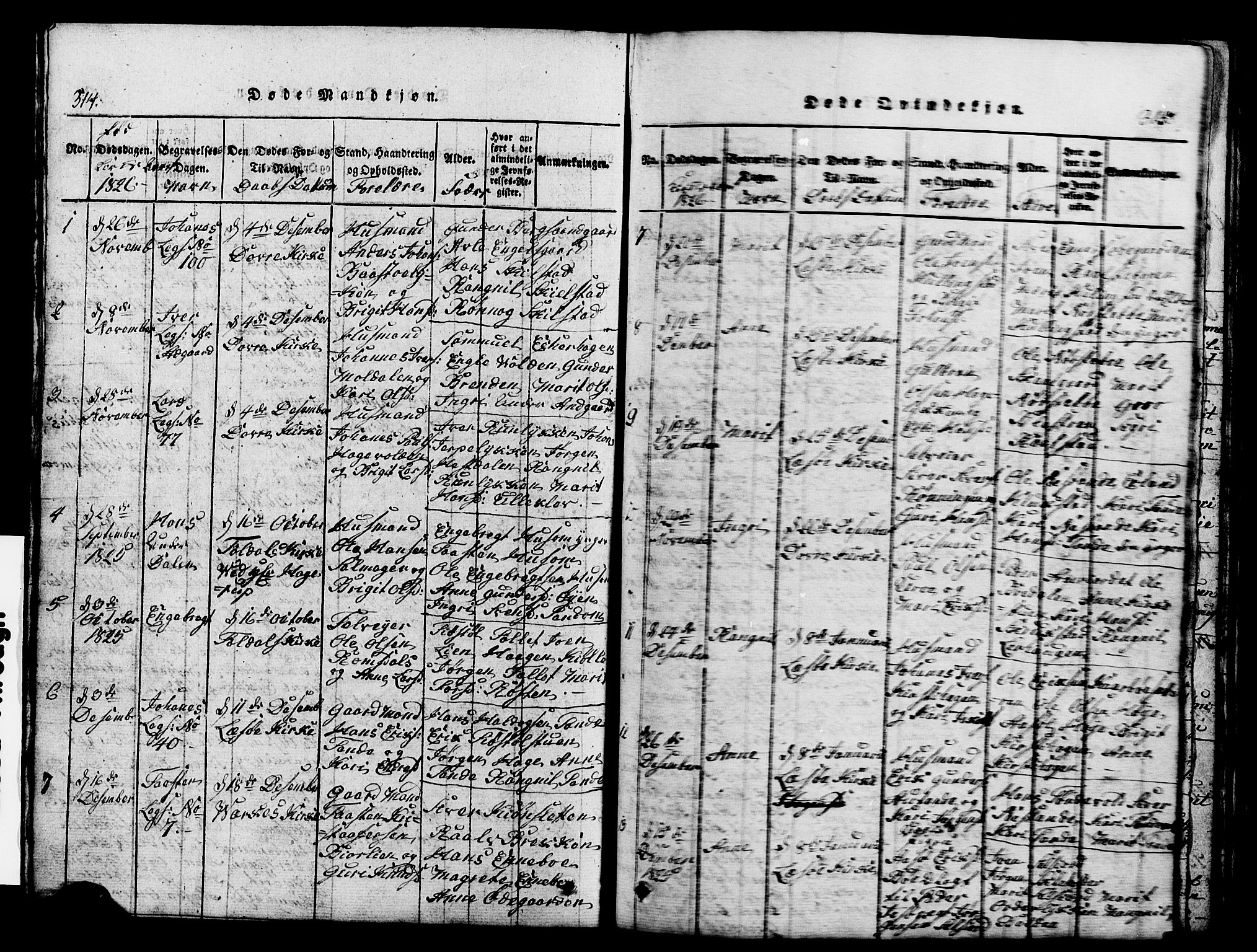 Lesja prestekontor, AV/SAH-PREST-068/H/Ha/Hab/L0001: Klokkerbok nr. 1, 1820-1831, s. 314-315