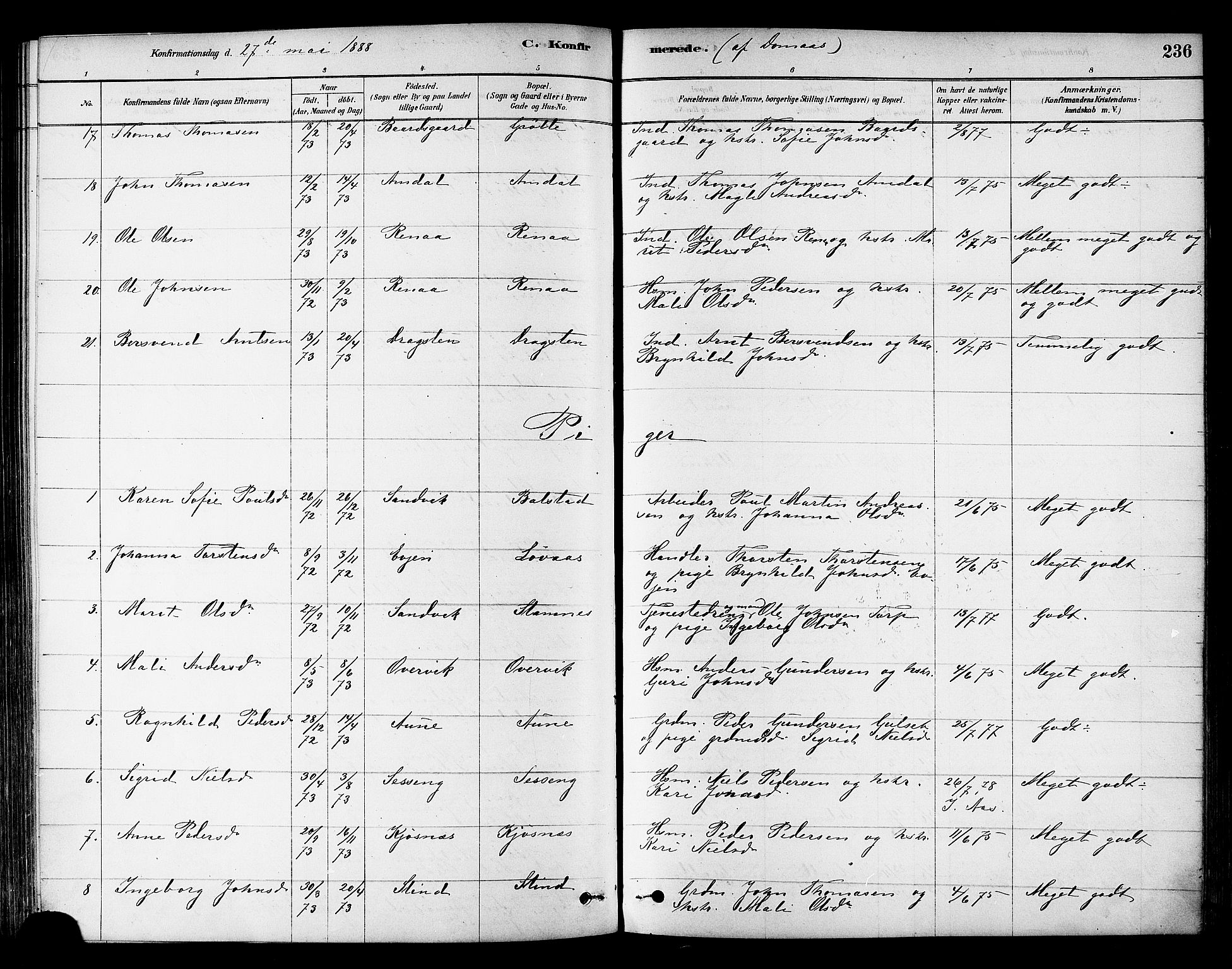Ministerialprotokoller, klokkerbøker og fødselsregistre - Sør-Trøndelag, AV/SAT-A-1456/695/L1148: Ministerialbok nr. 695A08, 1878-1891, s. 236