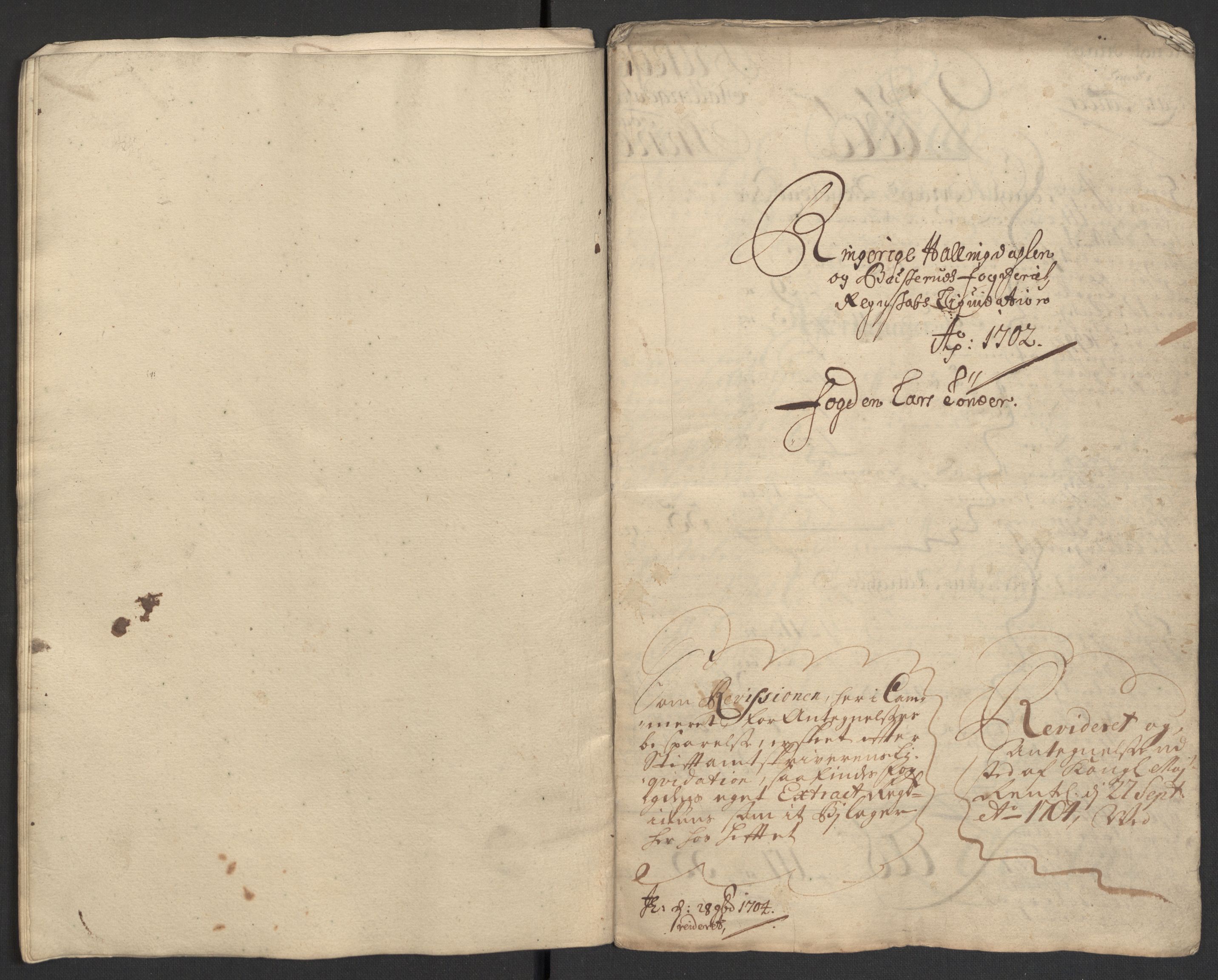 Rentekammeret inntil 1814, Reviderte regnskaper, Fogderegnskap, AV/RA-EA-4092/R22/L1459: Fogderegnskap Ringerike, Hallingdal og Buskerud, 1702, s. 19