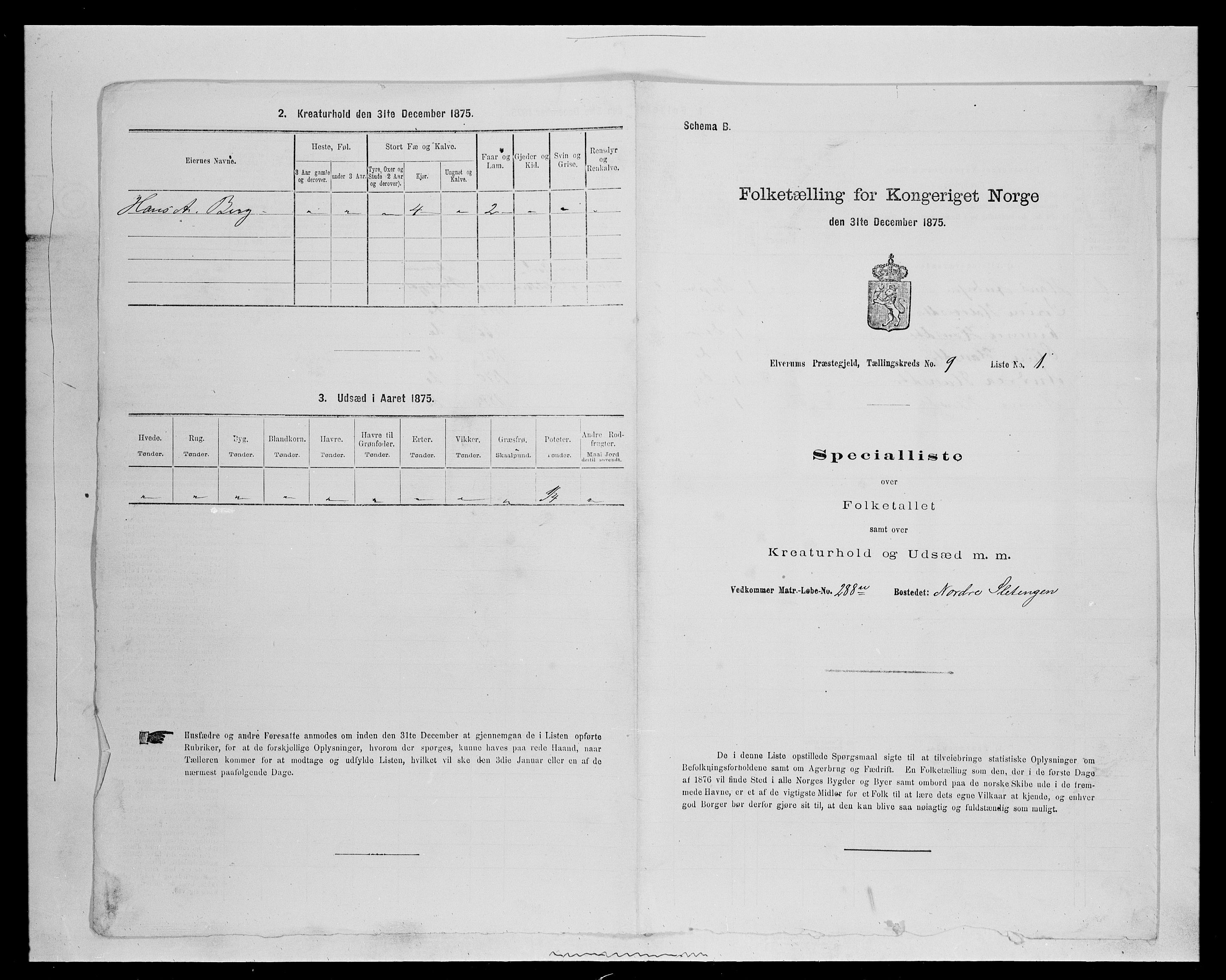 SAH, Folketelling 1875 for 0427P Elverum prestegjeld, 1875, s. 1899