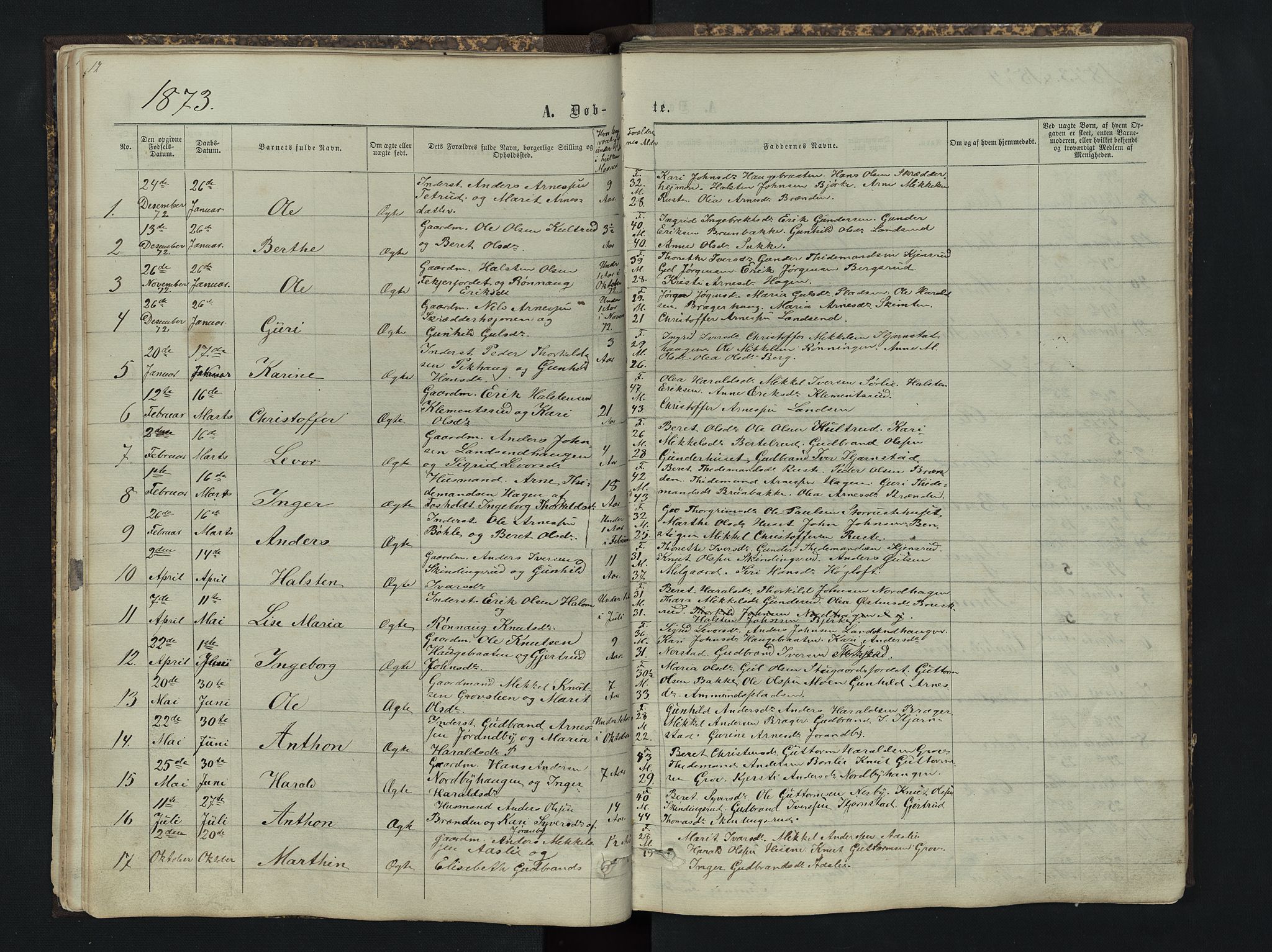 Sør-Aurdal prestekontor, AV/SAH-PREST-128/H/Ha/Hab/L0004: Klokkerbok nr. 4, 1865-1893, s. 17