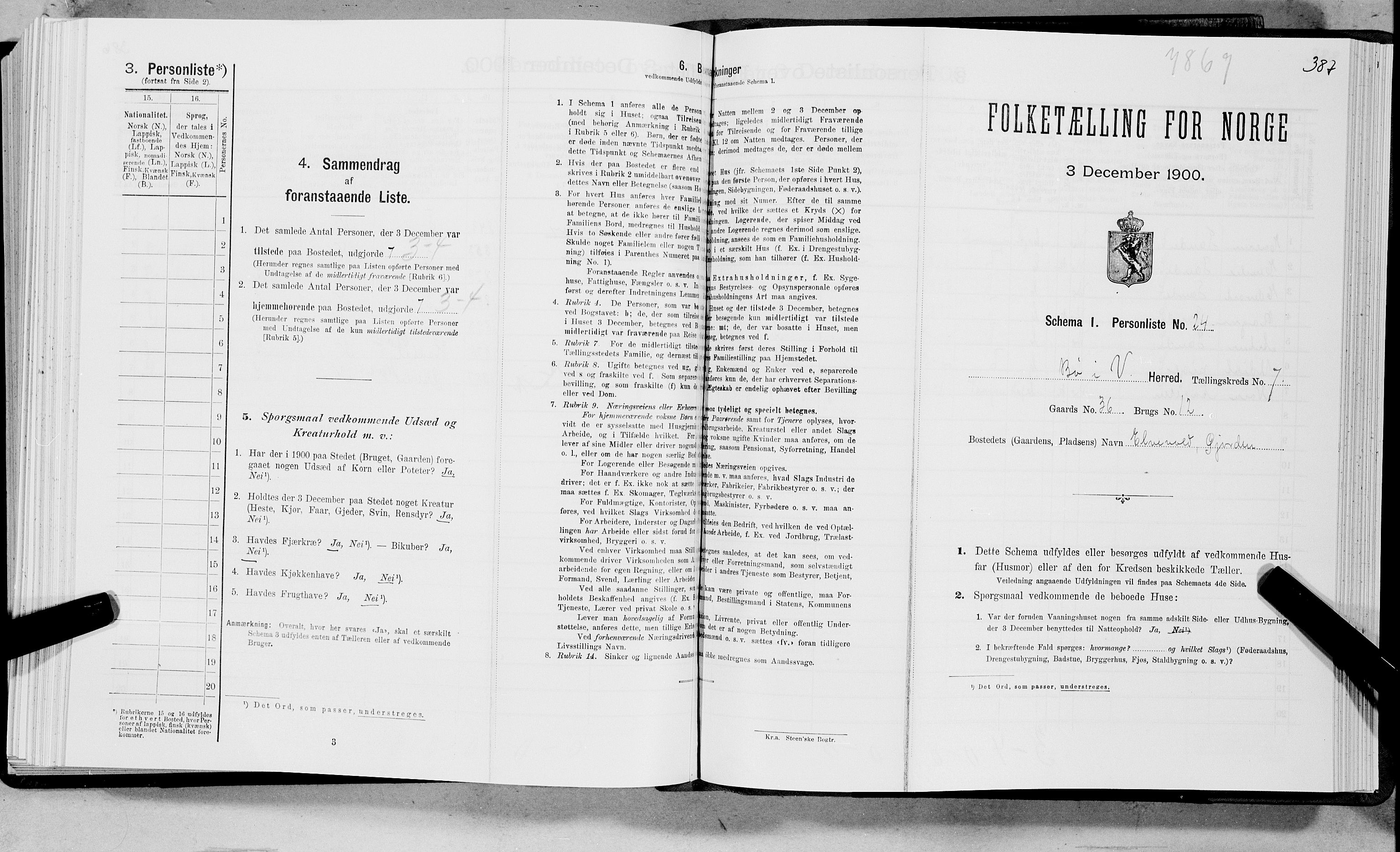 SAT, Folketelling 1900 for 1867 Bø herred, 1900, s. 798