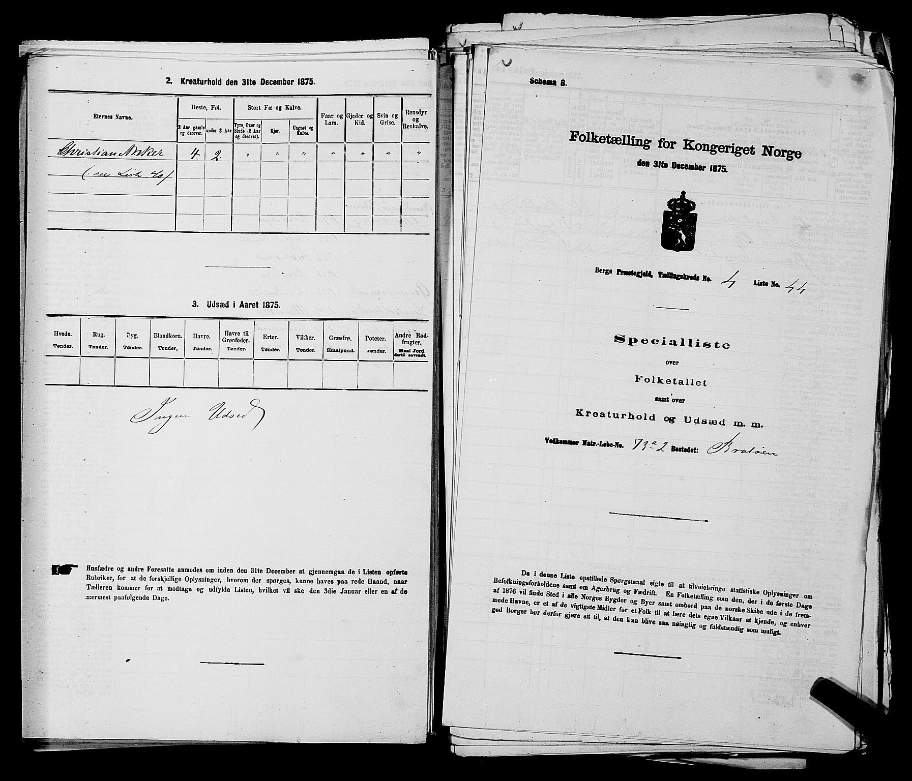 RA, Folketelling 1875 for 0116P Berg prestegjeld, 1875, s. 596