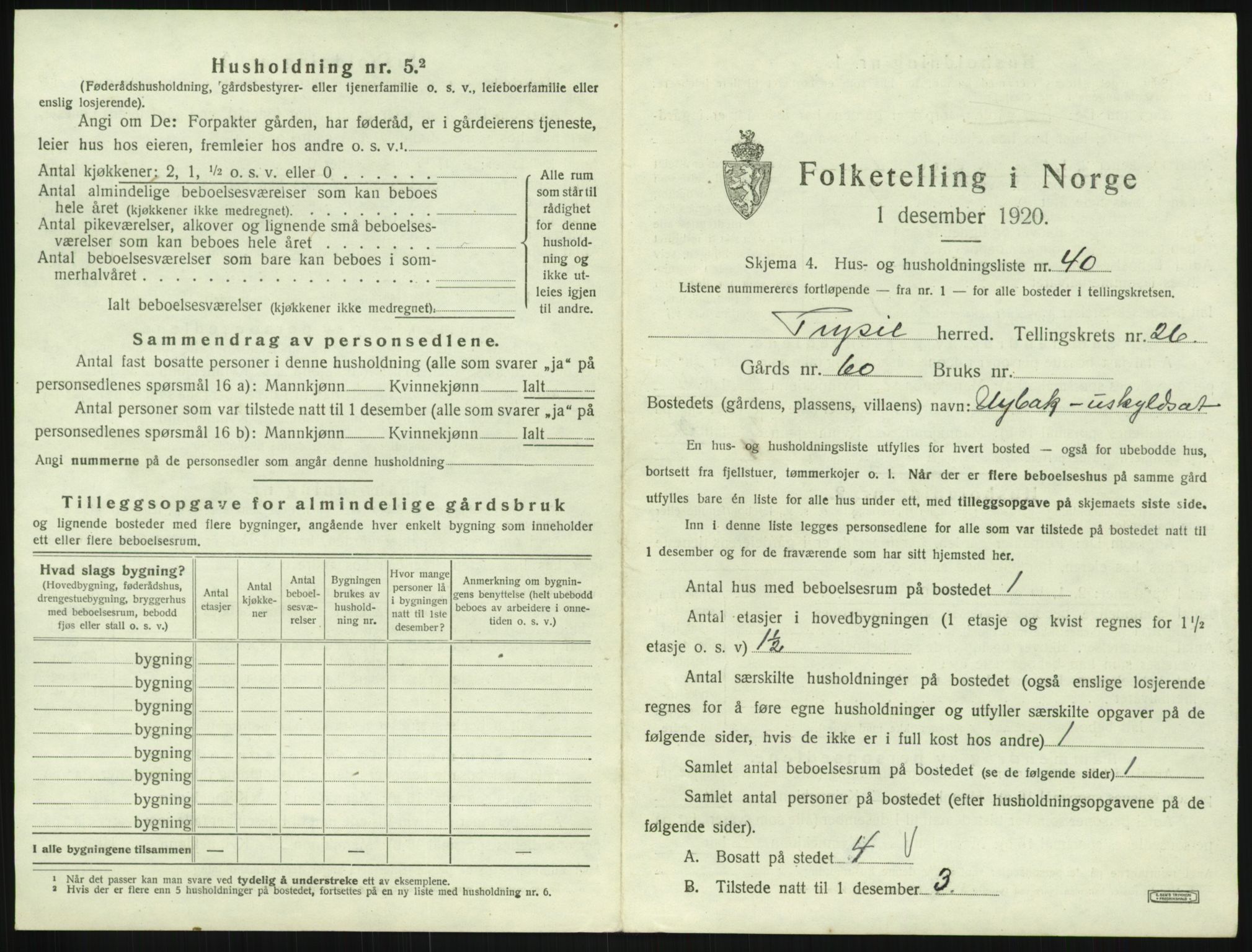 SAH, Folketelling 1920 for 0428 Trysil herred, 1920, s. 2533