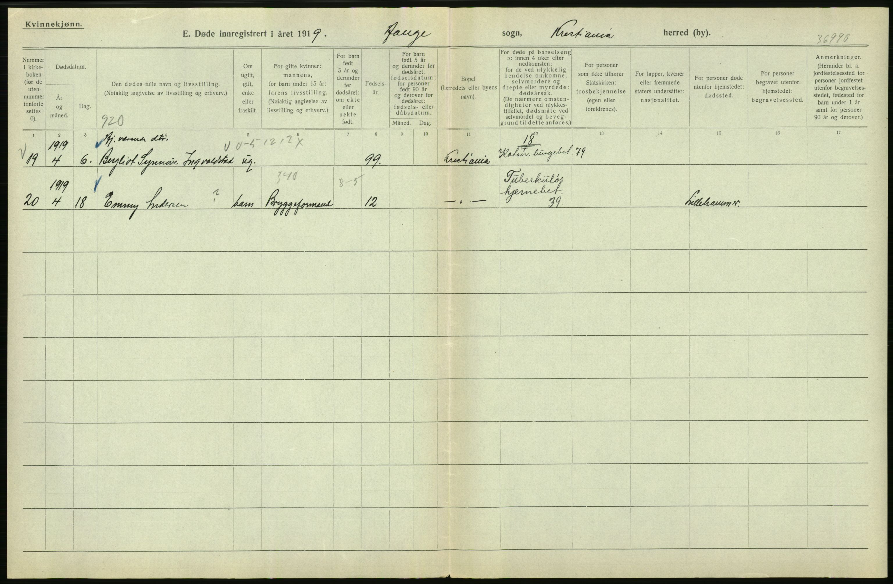 Statistisk sentralbyrå, Sosiodemografiske emner, Befolkning, RA/S-2228/D/Df/Dfb/Dfbi/L0010: Kristiania: Døde, 1919, s. 206