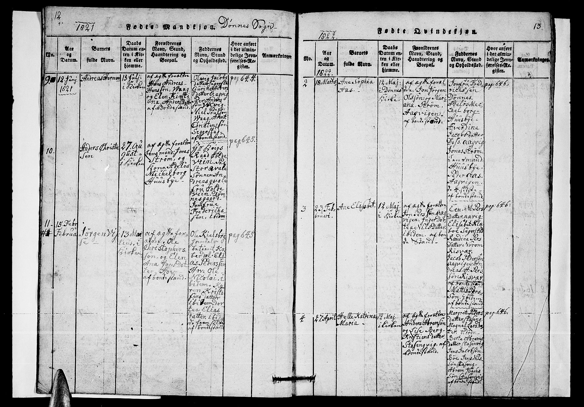 Ministerialprotokoller, klokkerbøker og fødselsregistre - Nordland, SAT/A-1459/835/L0529: Klokkerbok nr. 835C01, 1820-1828, s. 12-13