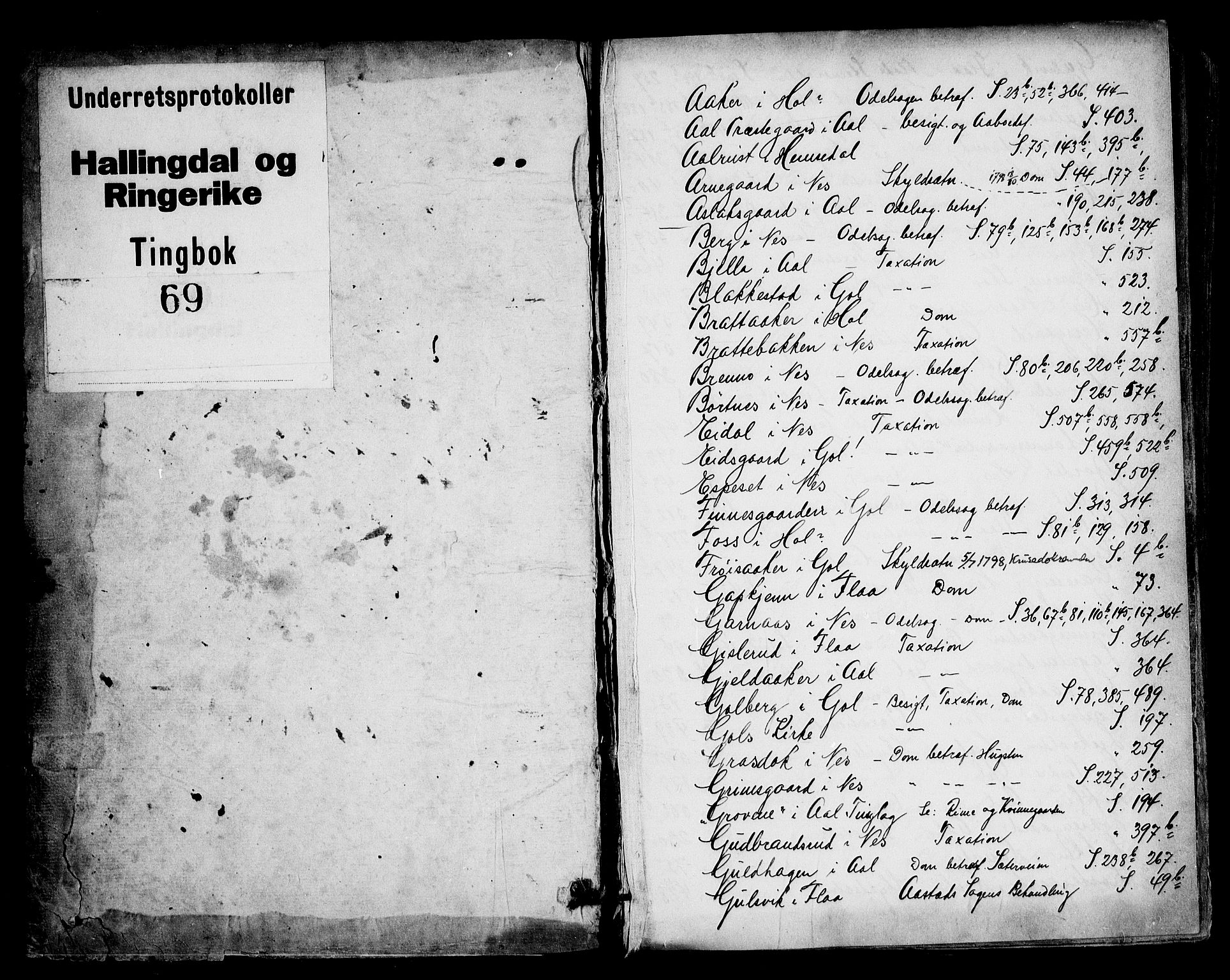 Ringerike og Hallingdal sorenskriveri, SAKO/A-81/F/Fa/Fad/L0013: Tingbok - Hallingdal, 1798-1804