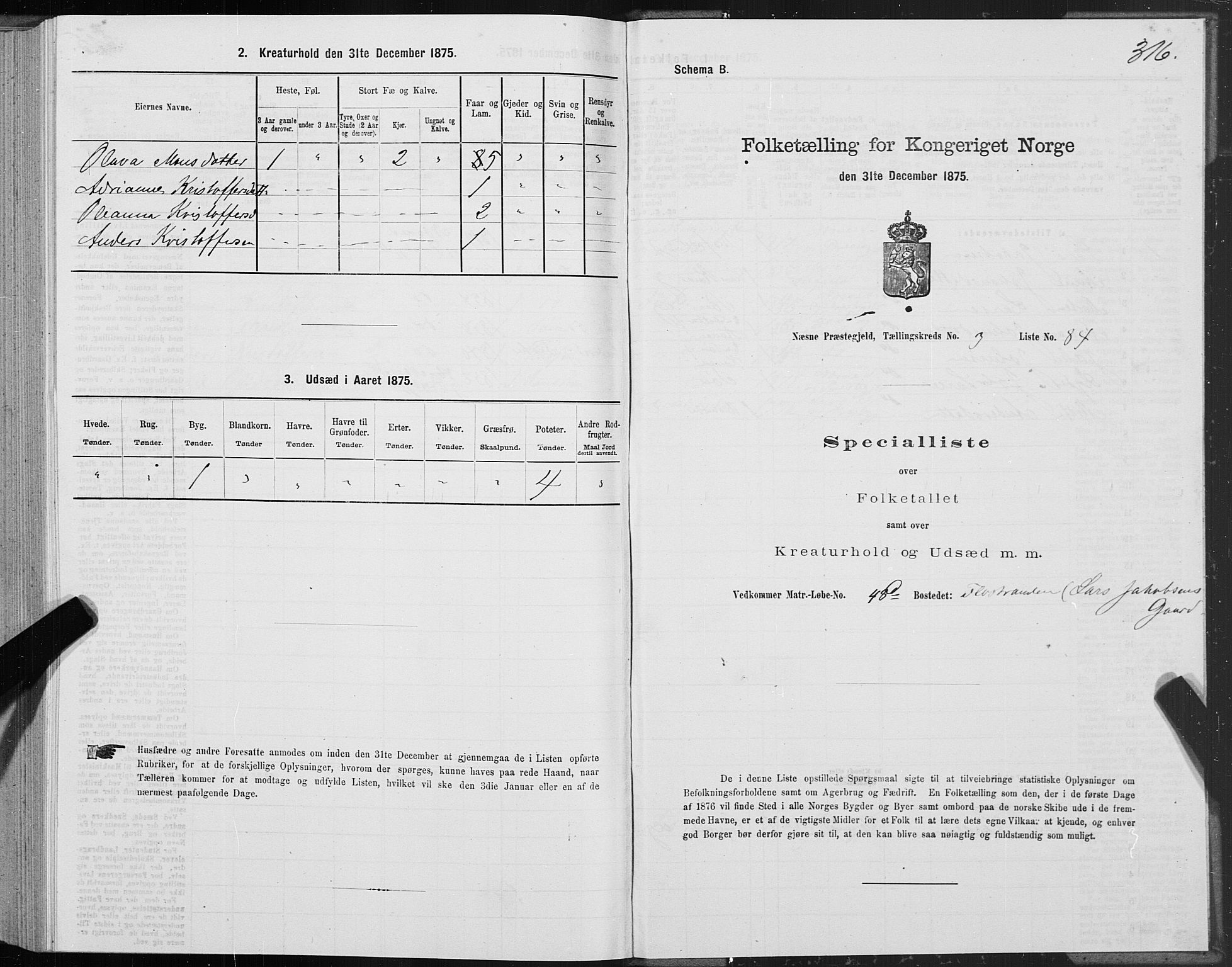 SAT, Folketelling 1875 for 1828P Nesna prestegjeld, 1875, s. 2316