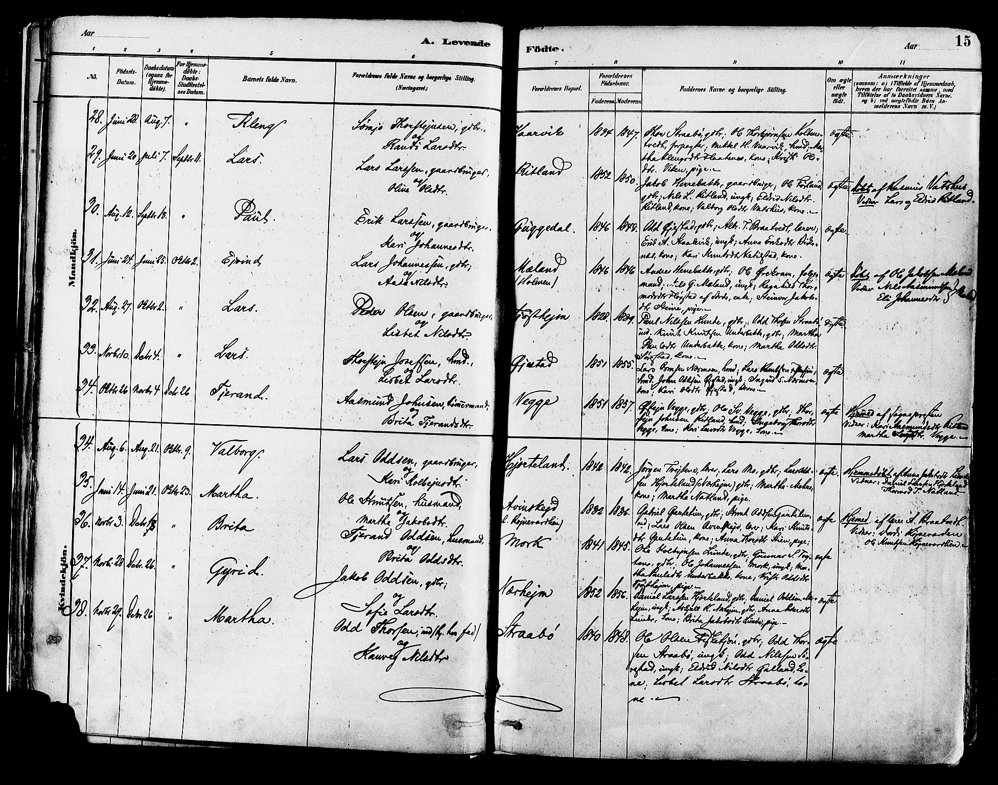 Suldal sokneprestkontor, AV/SAST-A-101845/01/IV/L0011: Ministerialbok nr. A 11, 1878-1900, s. 15