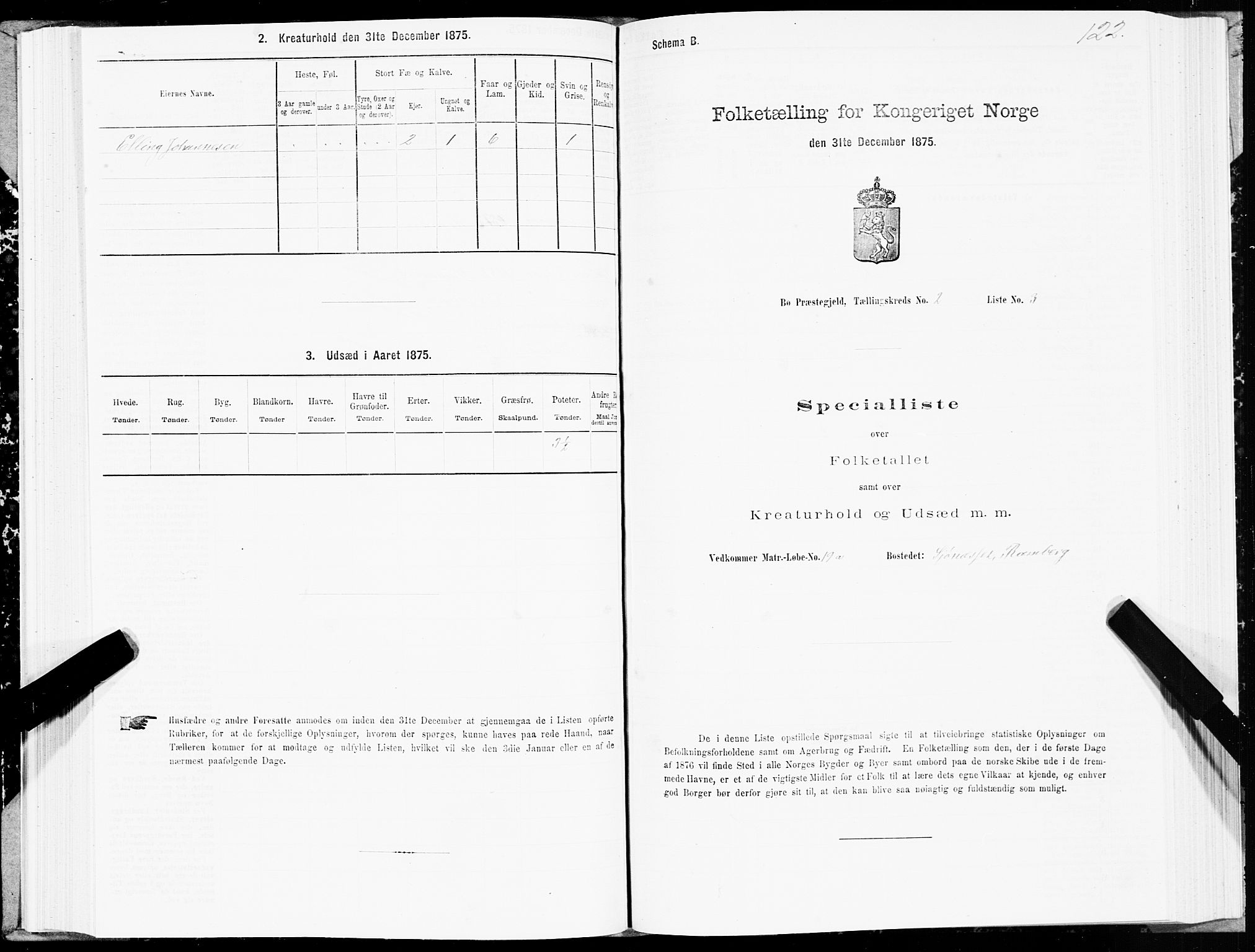 SAT, Folketelling 1875 for 1867P Bø prestegjeld, 1875, s. 1122