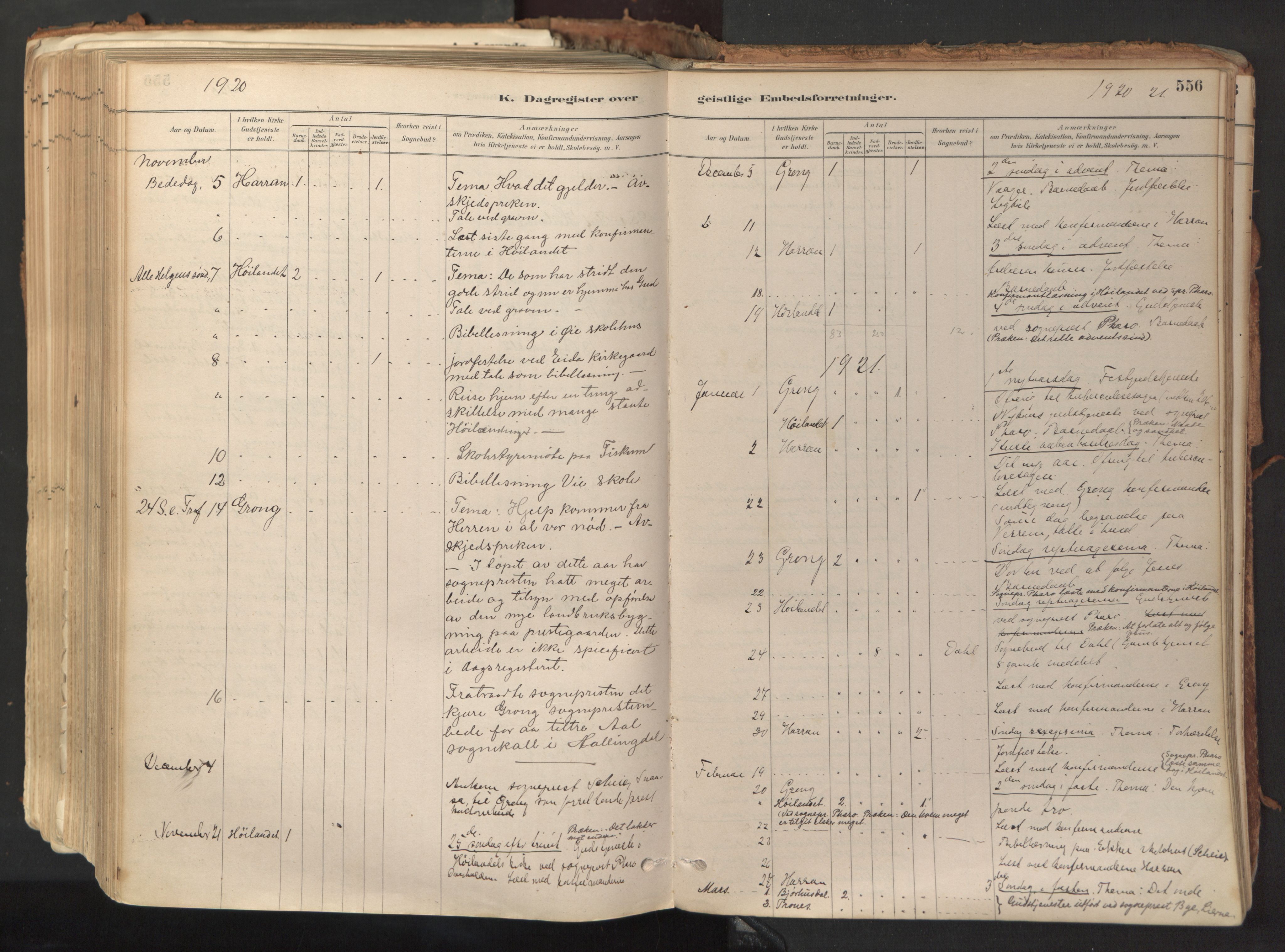 Ministerialprotokoller, klokkerbøker og fødselsregistre - Nord-Trøndelag, AV/SAT-A-1458/758/L0519: Ministerialbok nr. 758A04, 1880-1926, s. 556