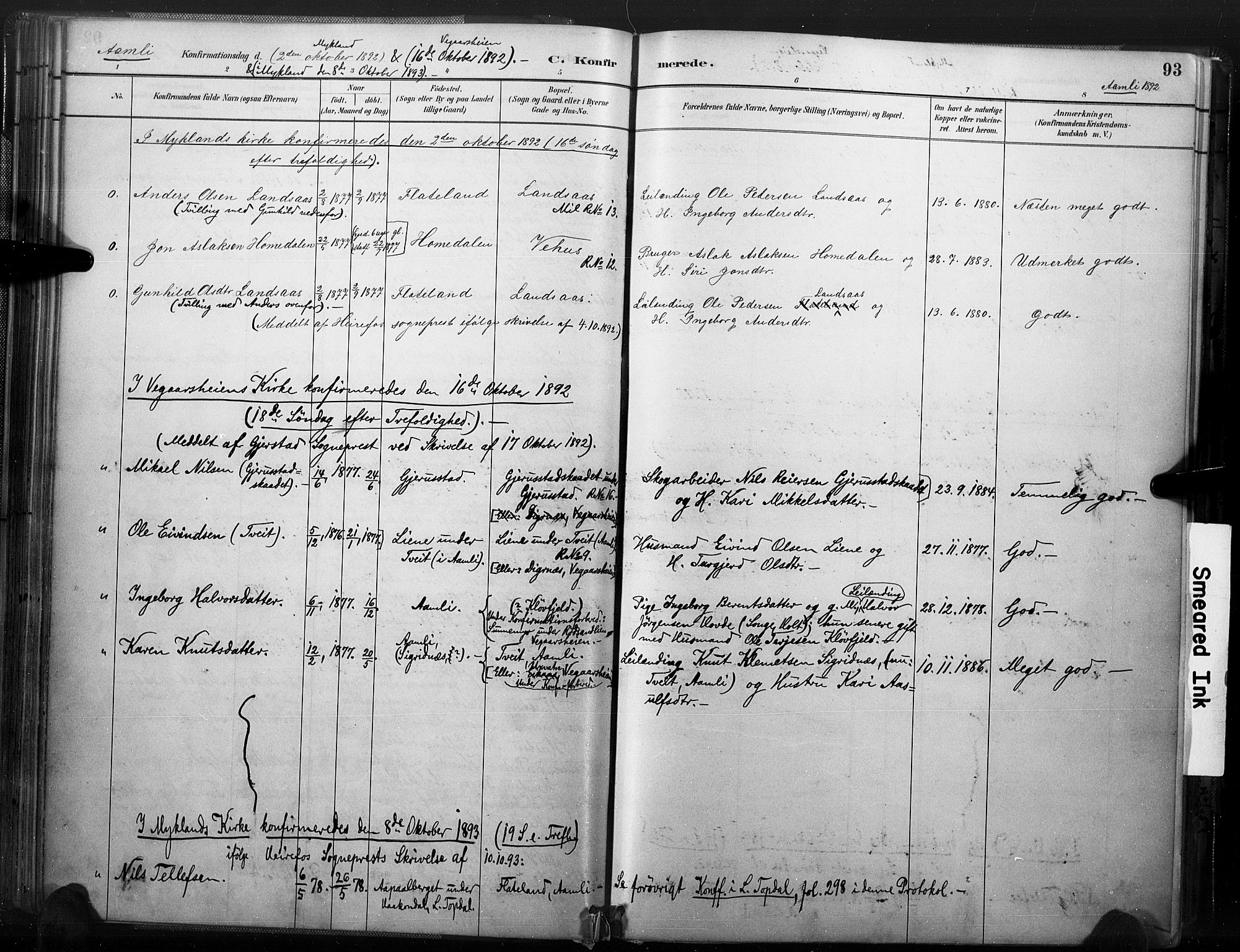 Åmli sokneprestkontor, AV/SAK-1111-0050/F/Fa/Fac/L0010: Ministerialbok nr. A 10 /1, 1885-1899, s. 93