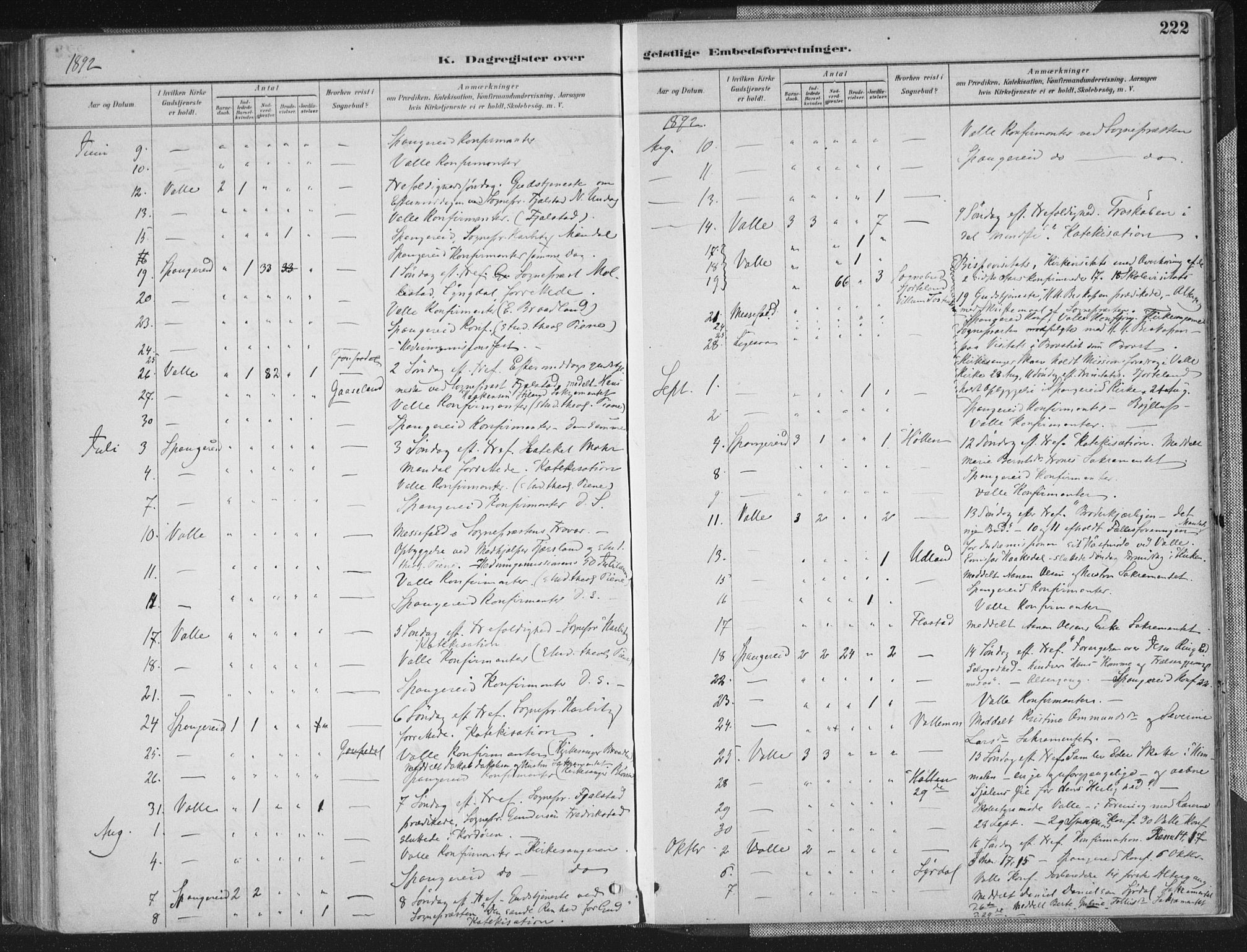 Sør-Audnedal sokneprestkontor, AV/SAK-1111-0039/F/Fa/Faa/L0004: Ministerialbok nr. A 4, 1884-1909, s. 222