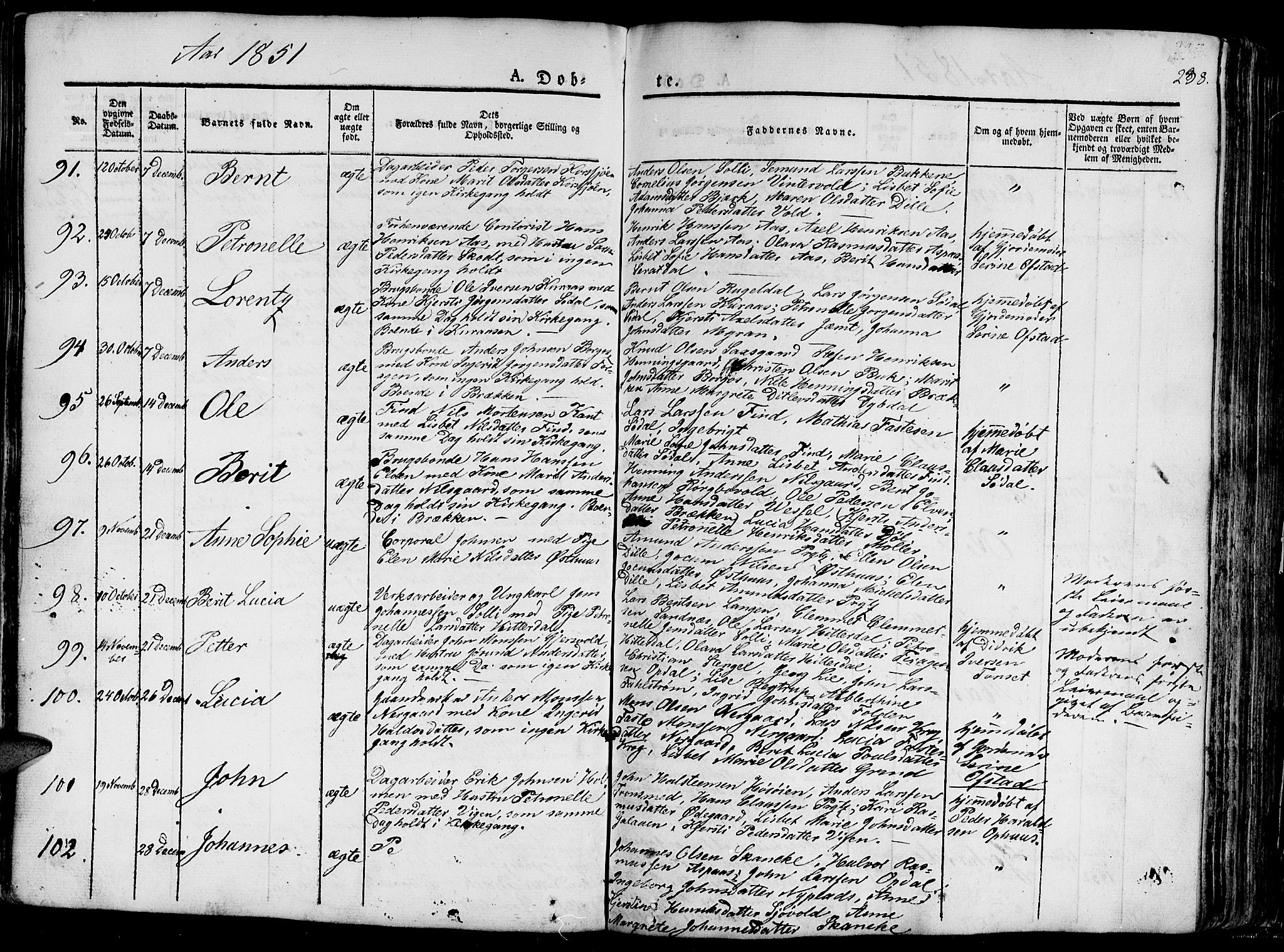 Ministerialprotokoller, klokkerbøker og fødselsregistre - Sør-Trøndelag, AV/SAT-A-1456/681/L0938: Klokkerbok nr. 681C02, 1829-1879, s. 238
