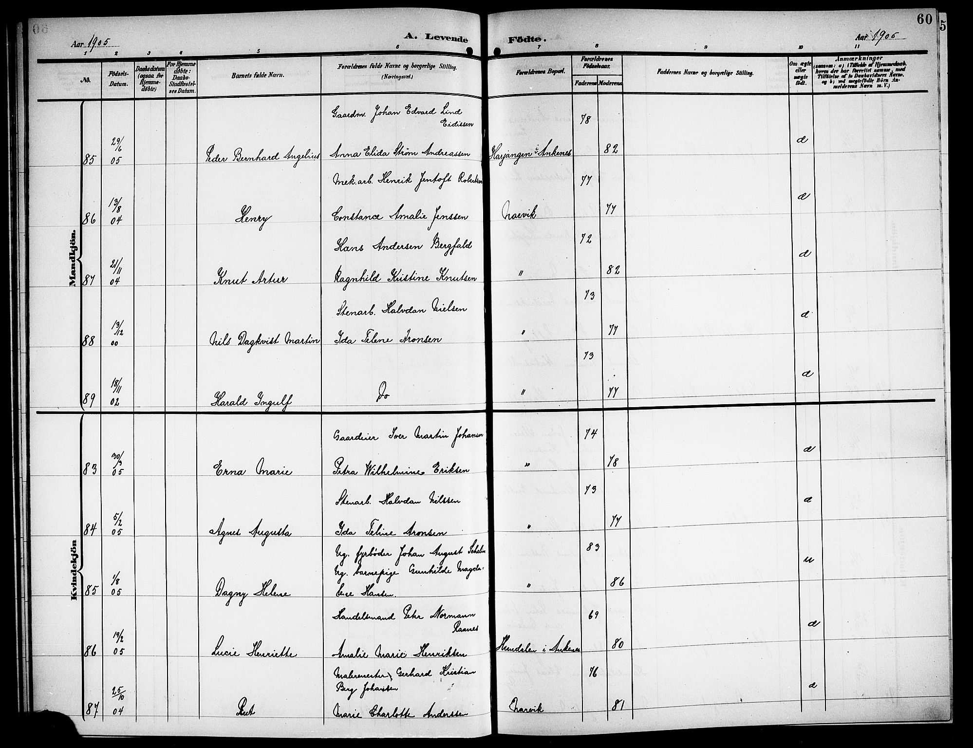 Ministerialprotokoller, klokkerbøker og fødselsregistre - Nordland, AV/SAT-A-1459/871/L1012: Klokkerbok nr. 871C01, 1902-1909, s. 60