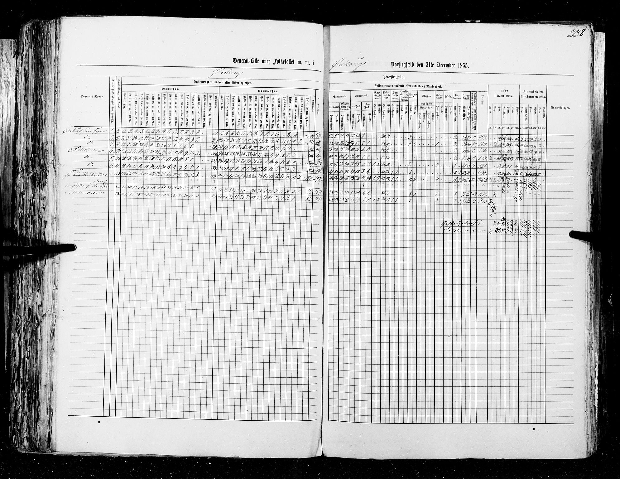 RA, Folketellingen 1855, bind 5: Nordre Bergenhus amt, Romsdal amt og Søndre Trondhjem amt, 1855, s. 238