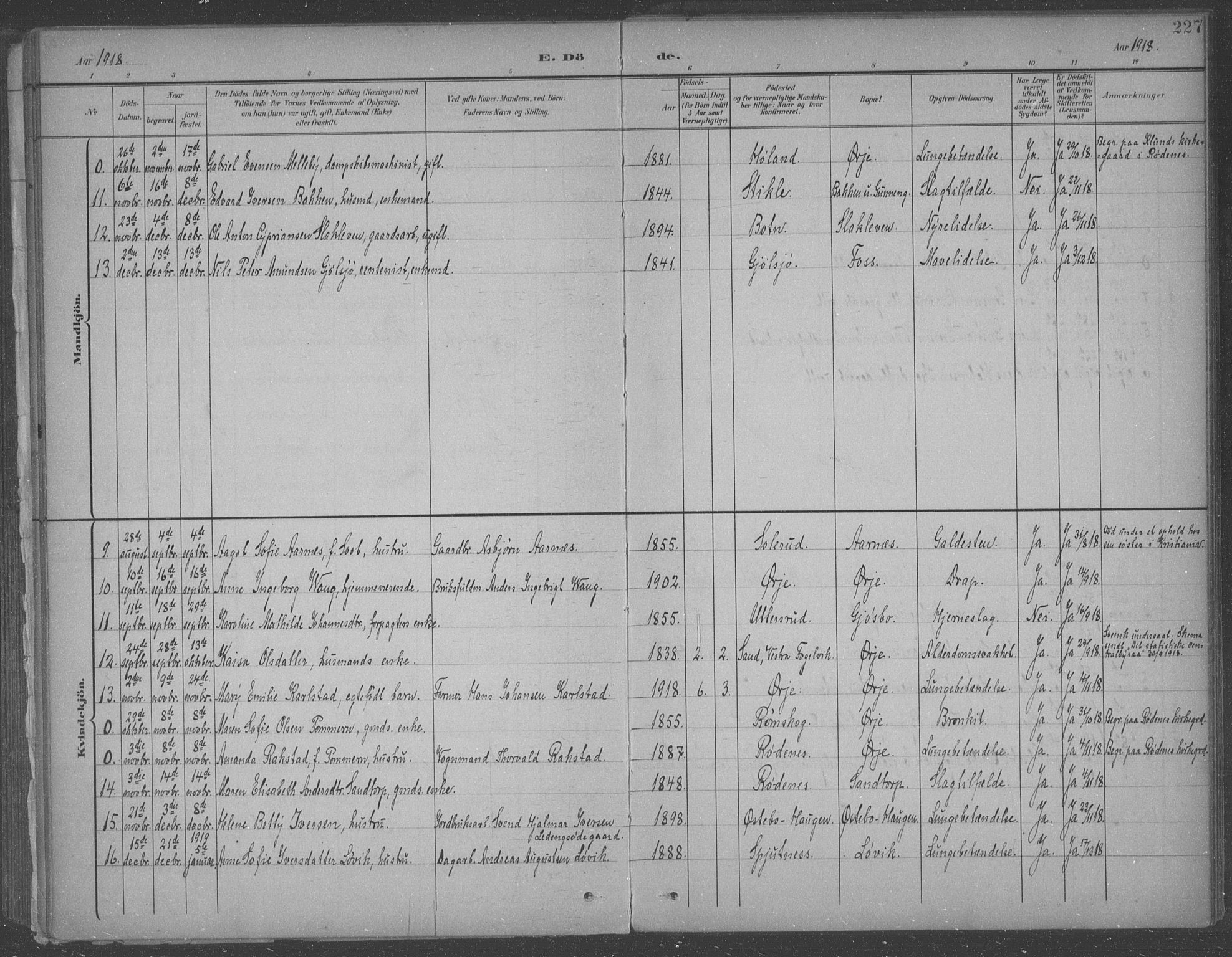 Aremark prestekontor Kirkebøker, AV/SAO-A-10899/F/Fb/L0005: Ministerialbok nr. II 5, 1895-1919, s. 227