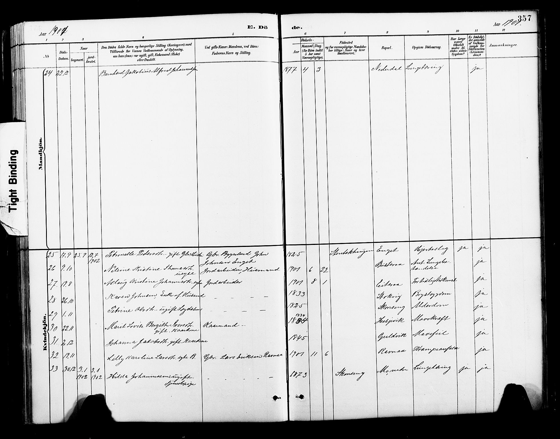 Ministerialprotokoller, klokkerbøker og fødselsregistre - Nordland, SAT/A-1459/827/L0421: Klokkerbok nr. 827C10, 1887-1906, s. 357
