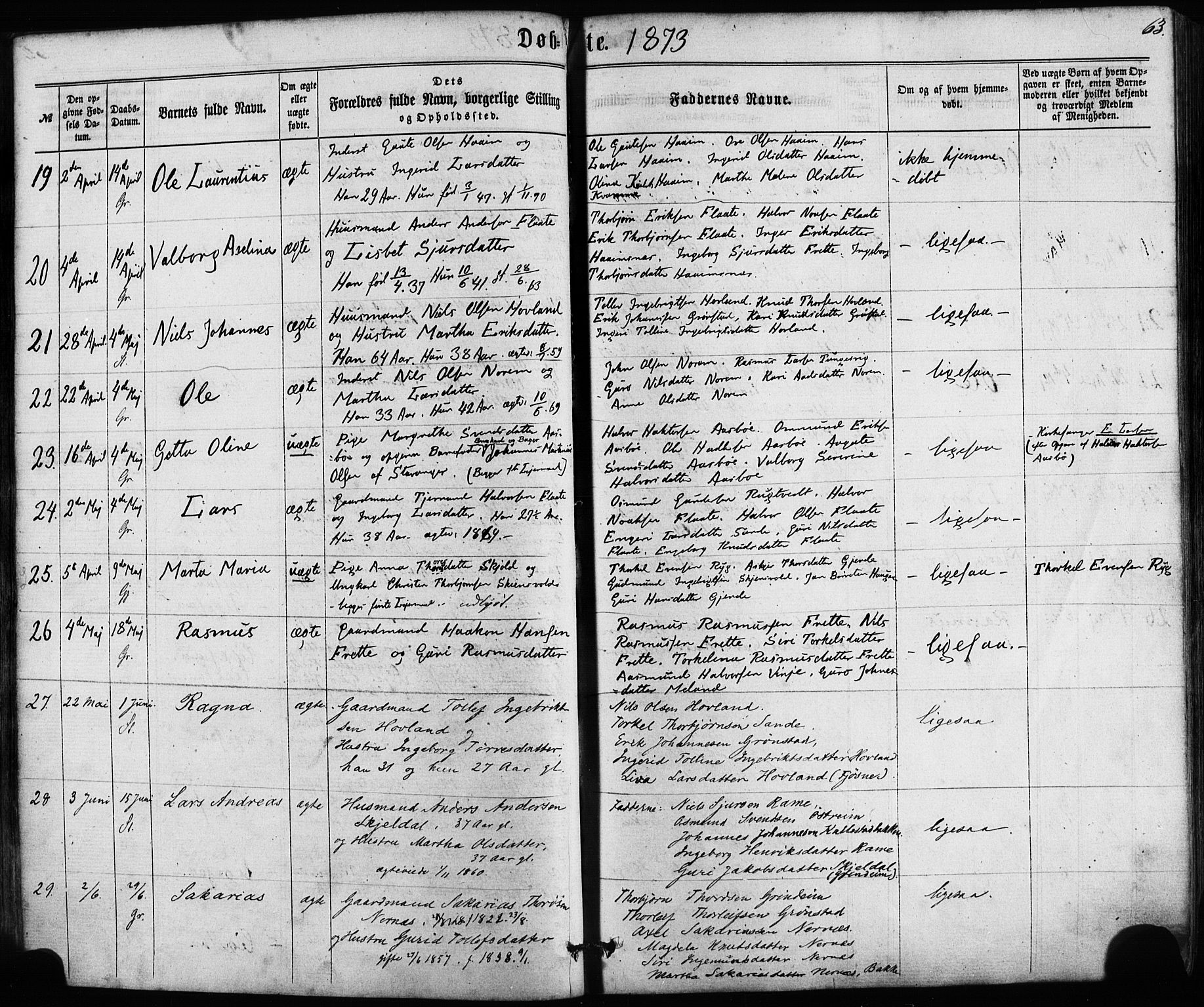 Etne sokneprestembete, AV/SAB-A-75001/H/Haa: Ministerialbok nr. A 9, 1862-1878, s. 63