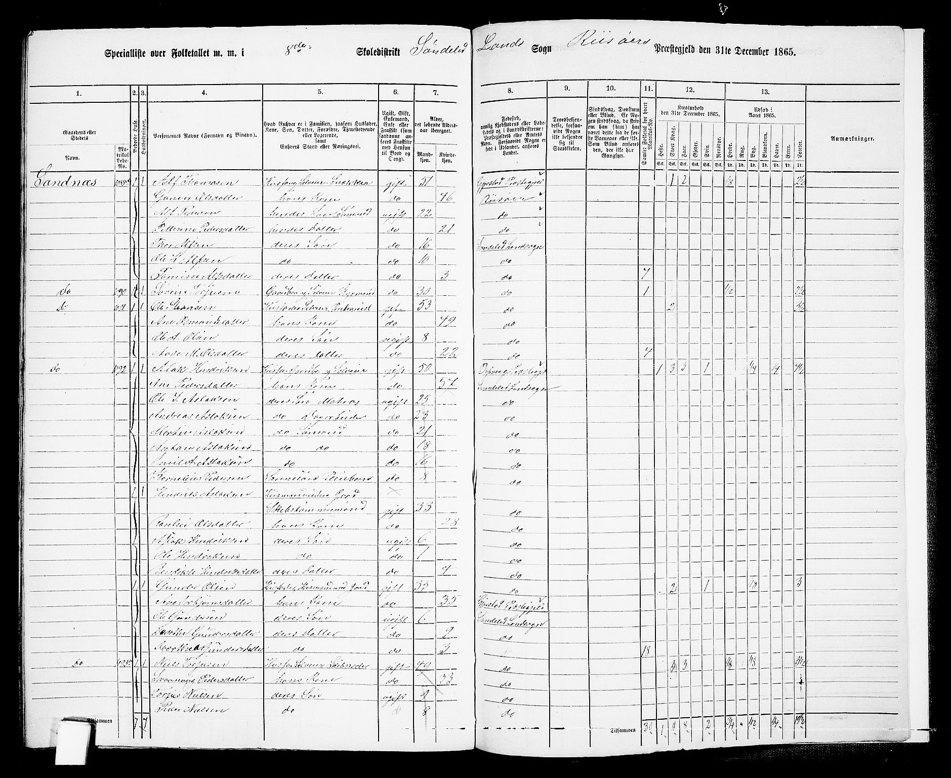 RA, Folketelling 1865 for 0913L Risør prestegjeld, Søndeled sokn, 1865, s. 155