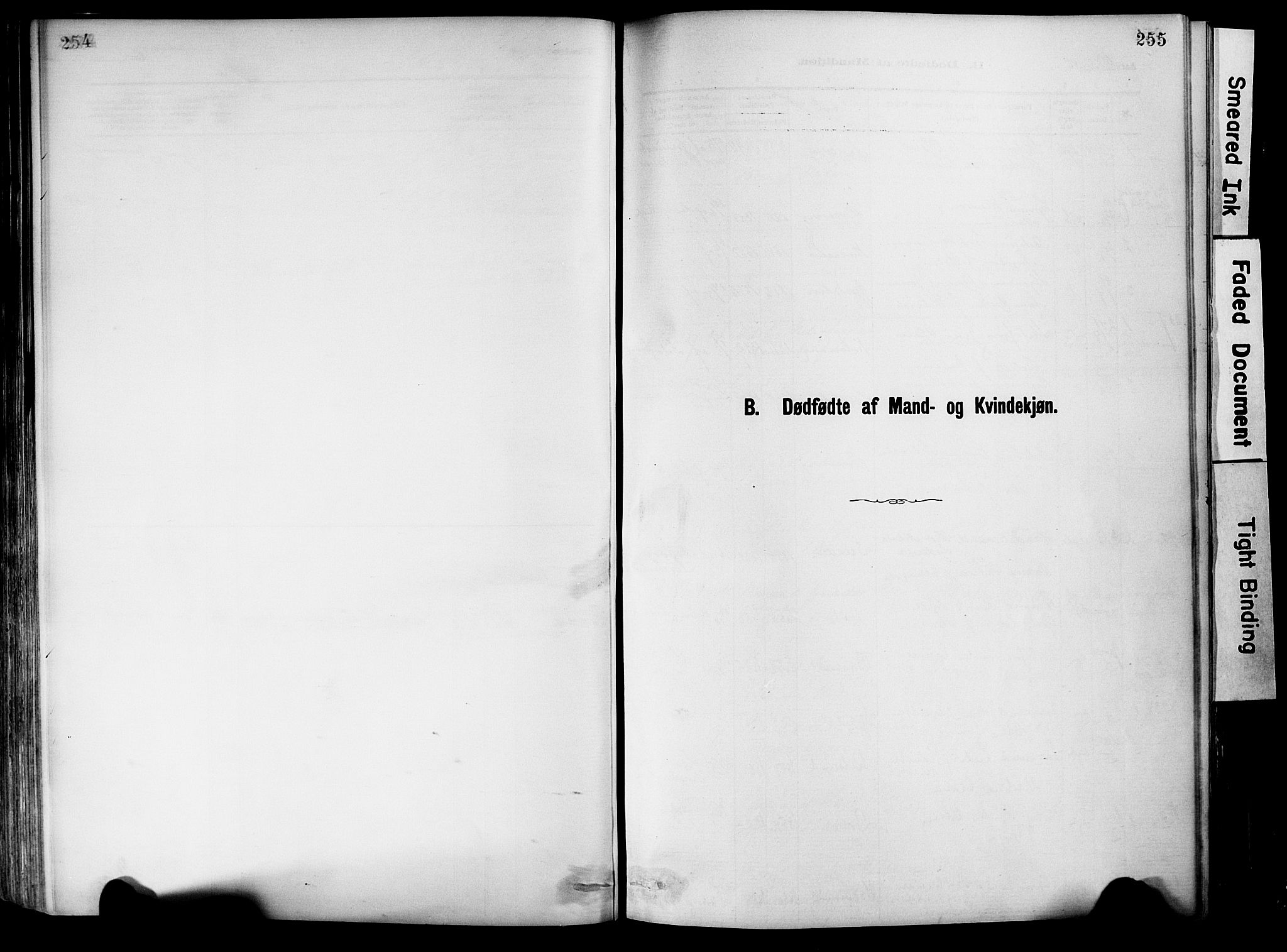 Dypvåg sokneprestkontor, SAK/1111-0007/F/Fa/Fab/L0001: Ministerialbok nr. A 1, 1885-1912, s. 254-255