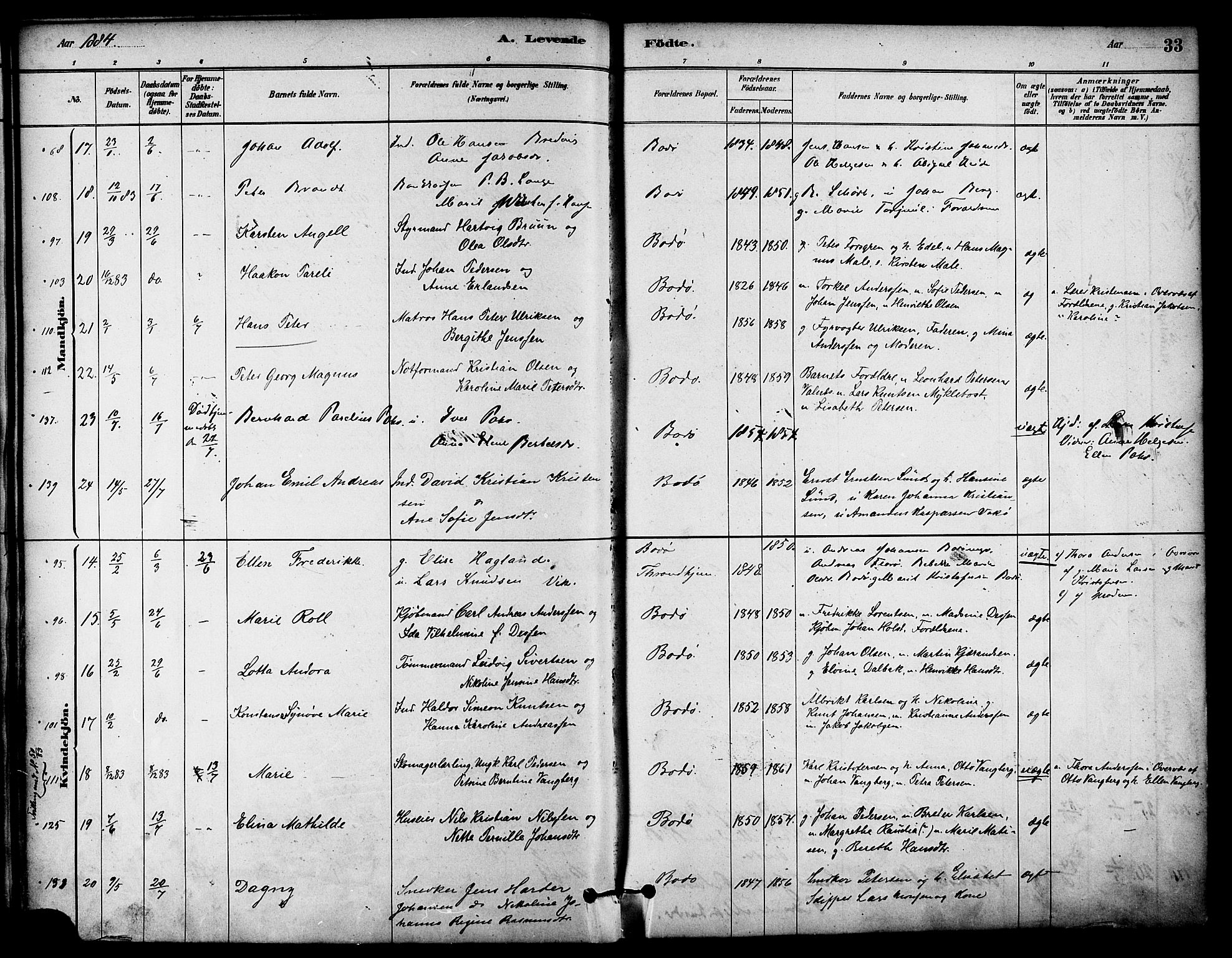 Ministerialprotokoller, klokkerbøker og fødselsregistre - Nordland, AV/SAT-A-1459/801/L0030: Klokkerbok nr. 801C05, 1879-1887, s. 33