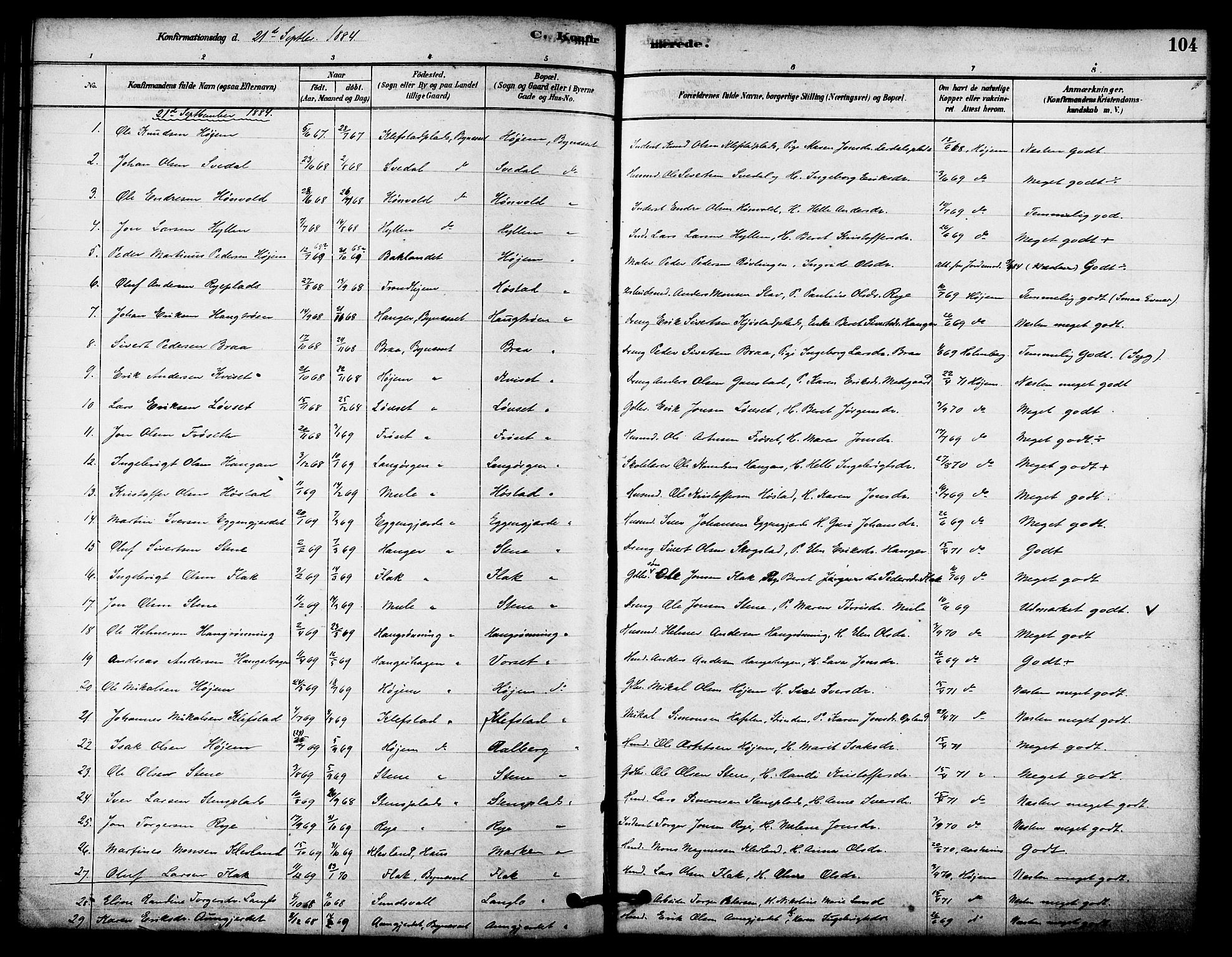 Ministerialprotokoller, klokkerbøker og fødselsregistre - Sør-Trøndelag, SAT/A-1456/612/L0378: Ministerialbok nr. 612A10, 1878-1897, s. 104