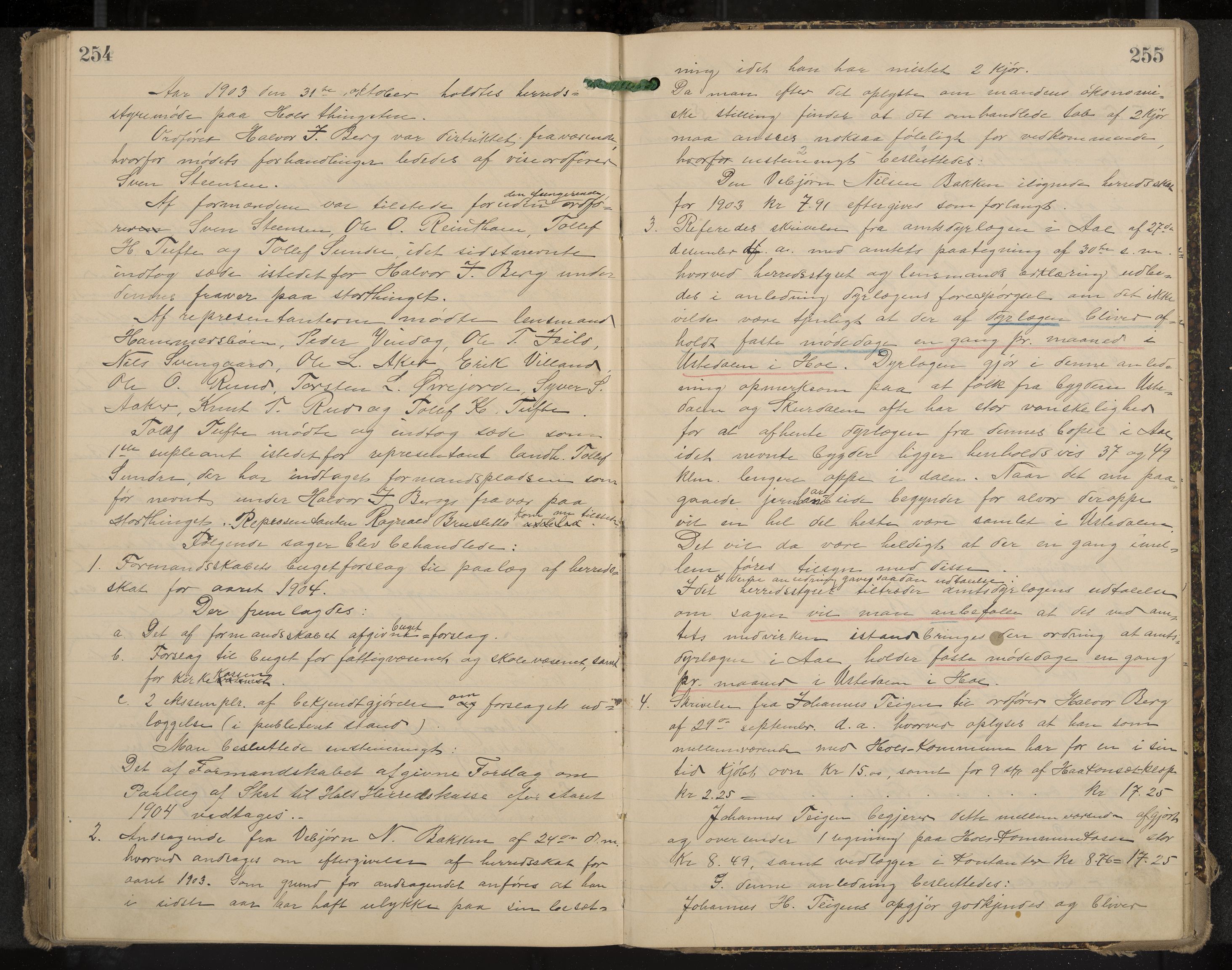 Hol formannskap og sentraladministrasjon, IKAK/0620021-1/A/L0003: Møtebok, 1897-1904, s. 254-255