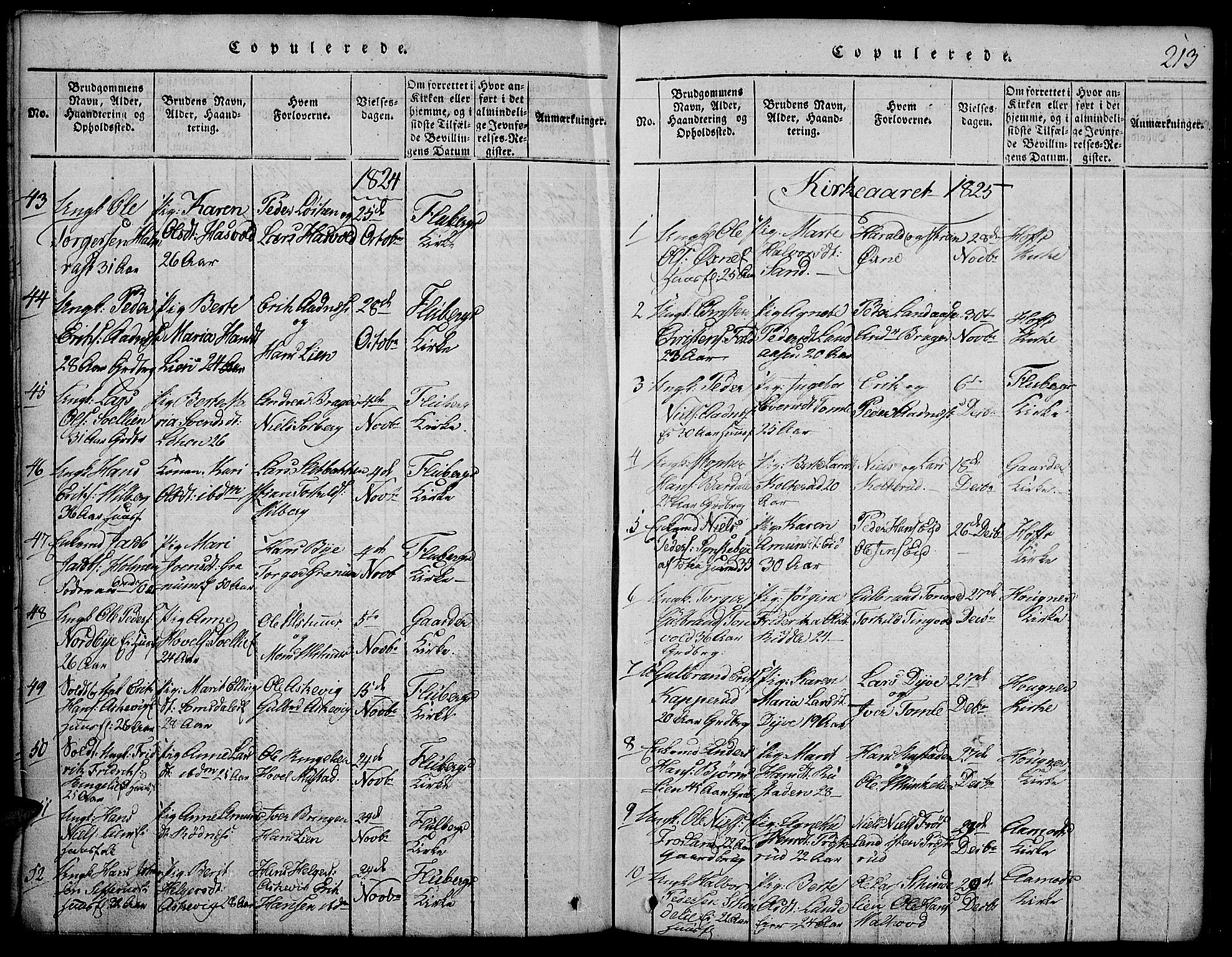 Land prestekontor, SAH/PREST-120/H/Ha/Hab/L0001: Klokkerbok nr. 1, 1814-1833, s. 213