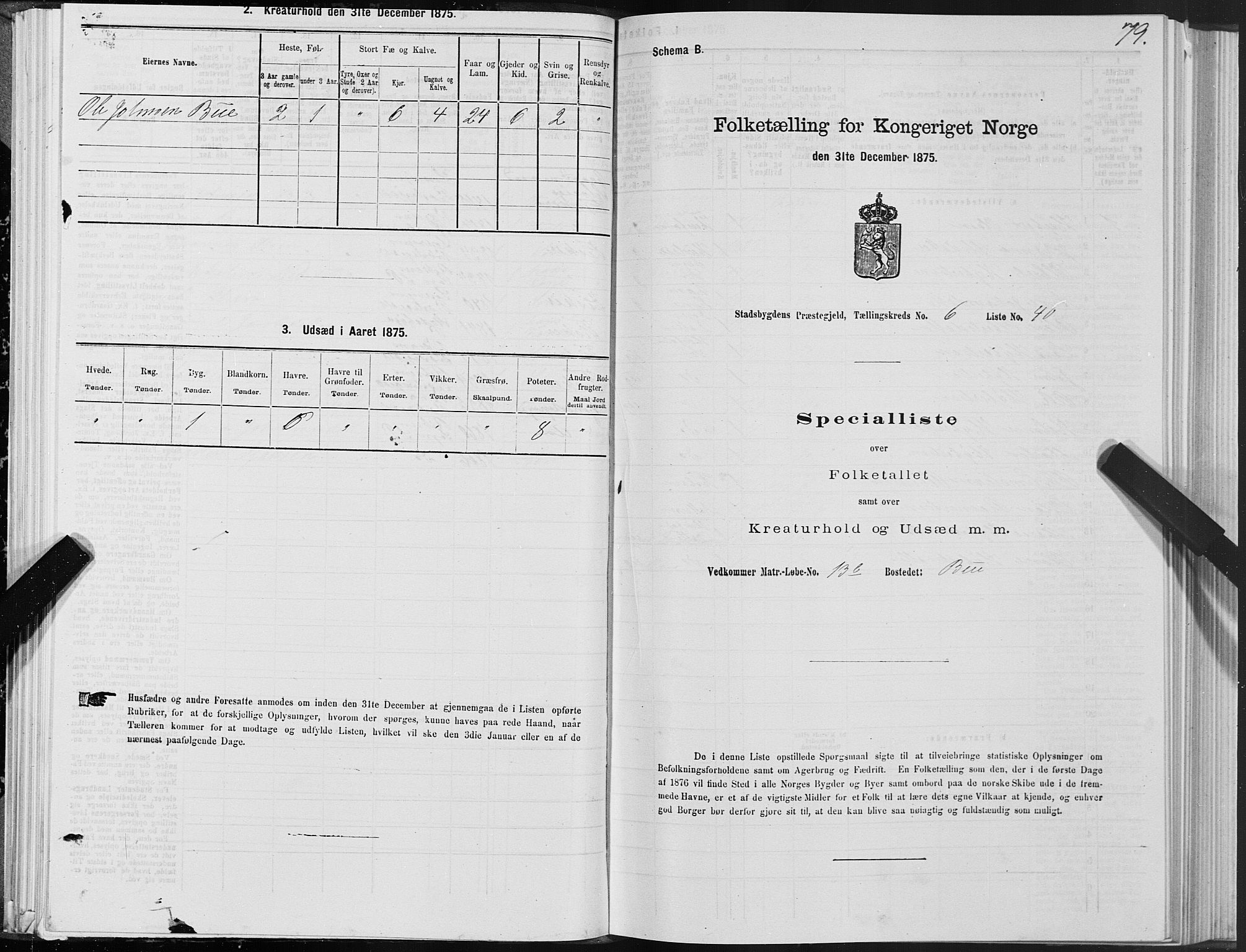 SAT, Folketelling 1875 for 1625P Stadsbygd prestegjeld, 1875, s. 4079