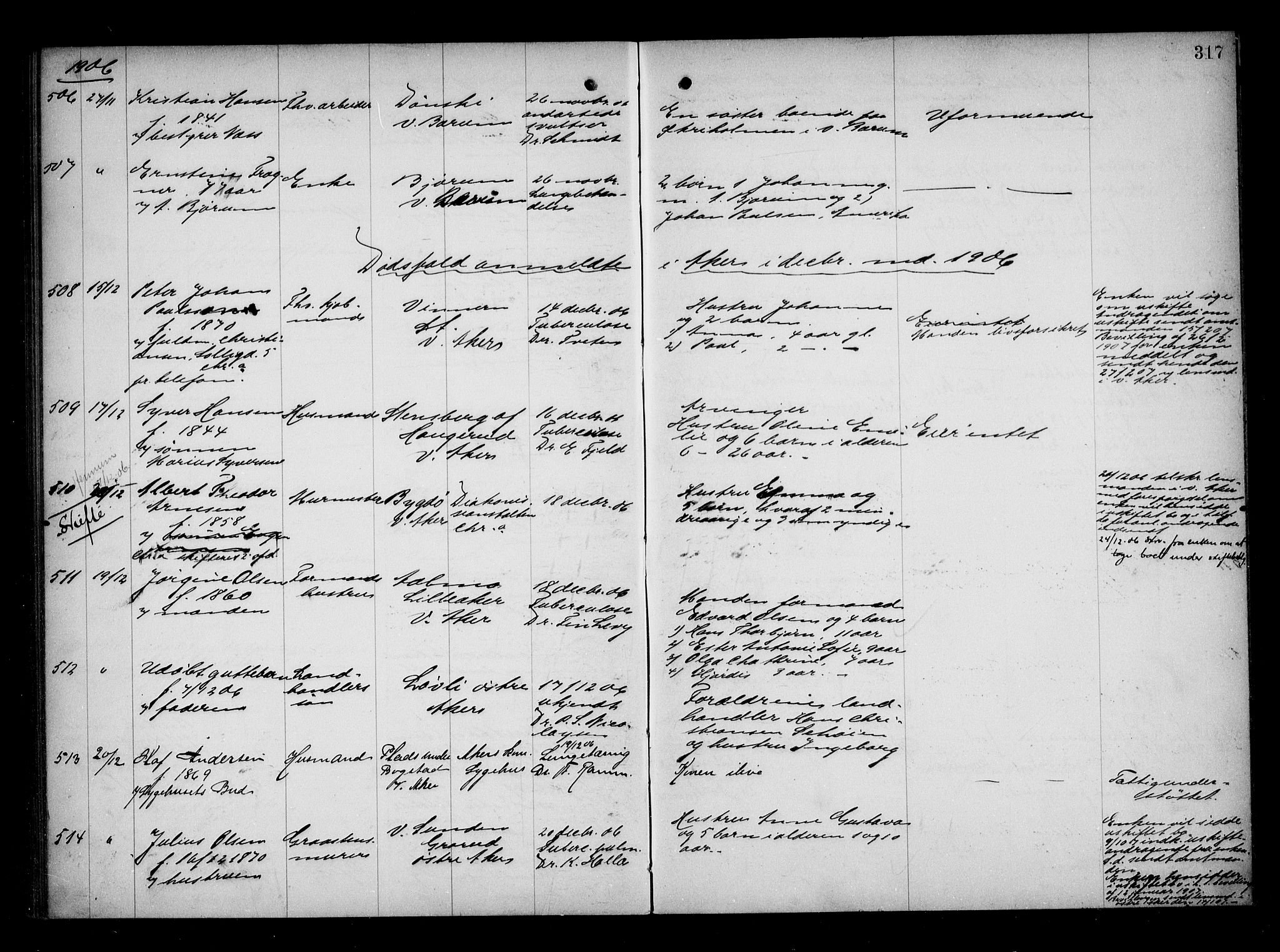 Aker kriminaldommer, skifte- og auksjonsforvalterembete, AV/SAO-A-10452/H/Hb/Hba/Hbaa/L0001: Dødsfallsprotokoll, 1901-1907, s. 317