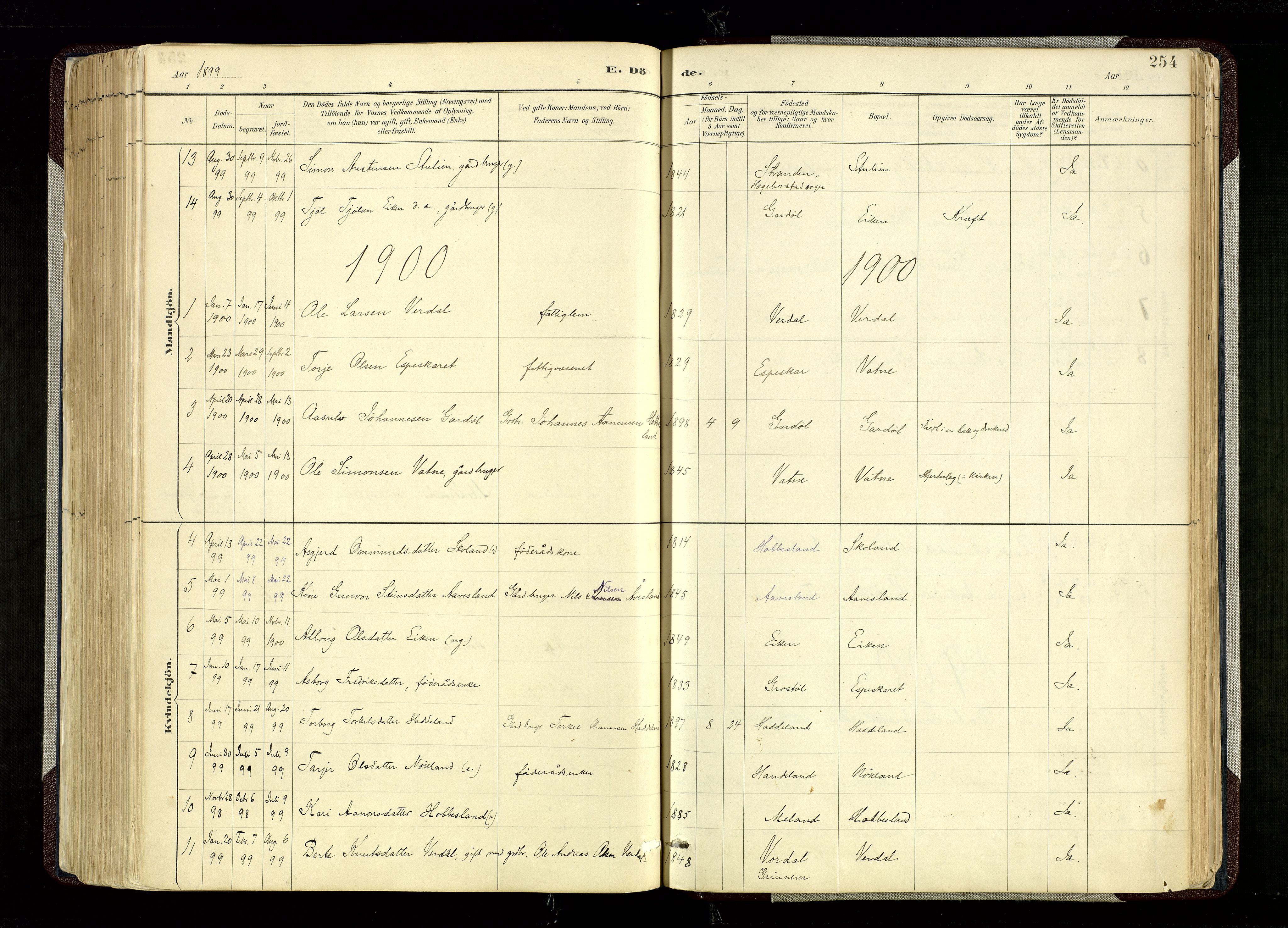 Hægebostad sokneprestkontor, AV/SAK-1111-0024/F/Fa/Fab/L0004: Ministerialbok nr. A 4, 1887-1929, s. 254