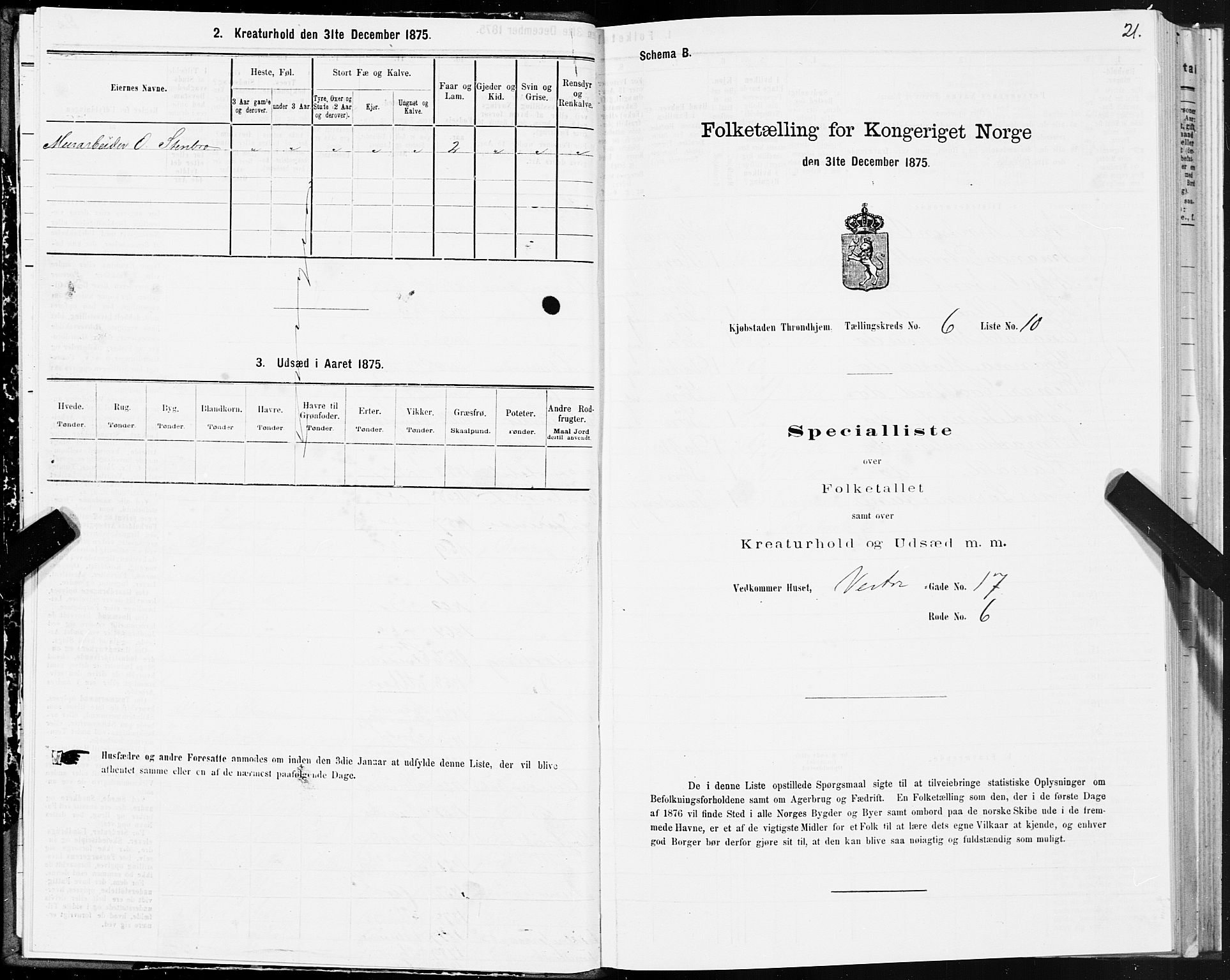 SAT, Folketelling 1875 for 1601 Trondheim kjøpstad, 1875, s. 4021