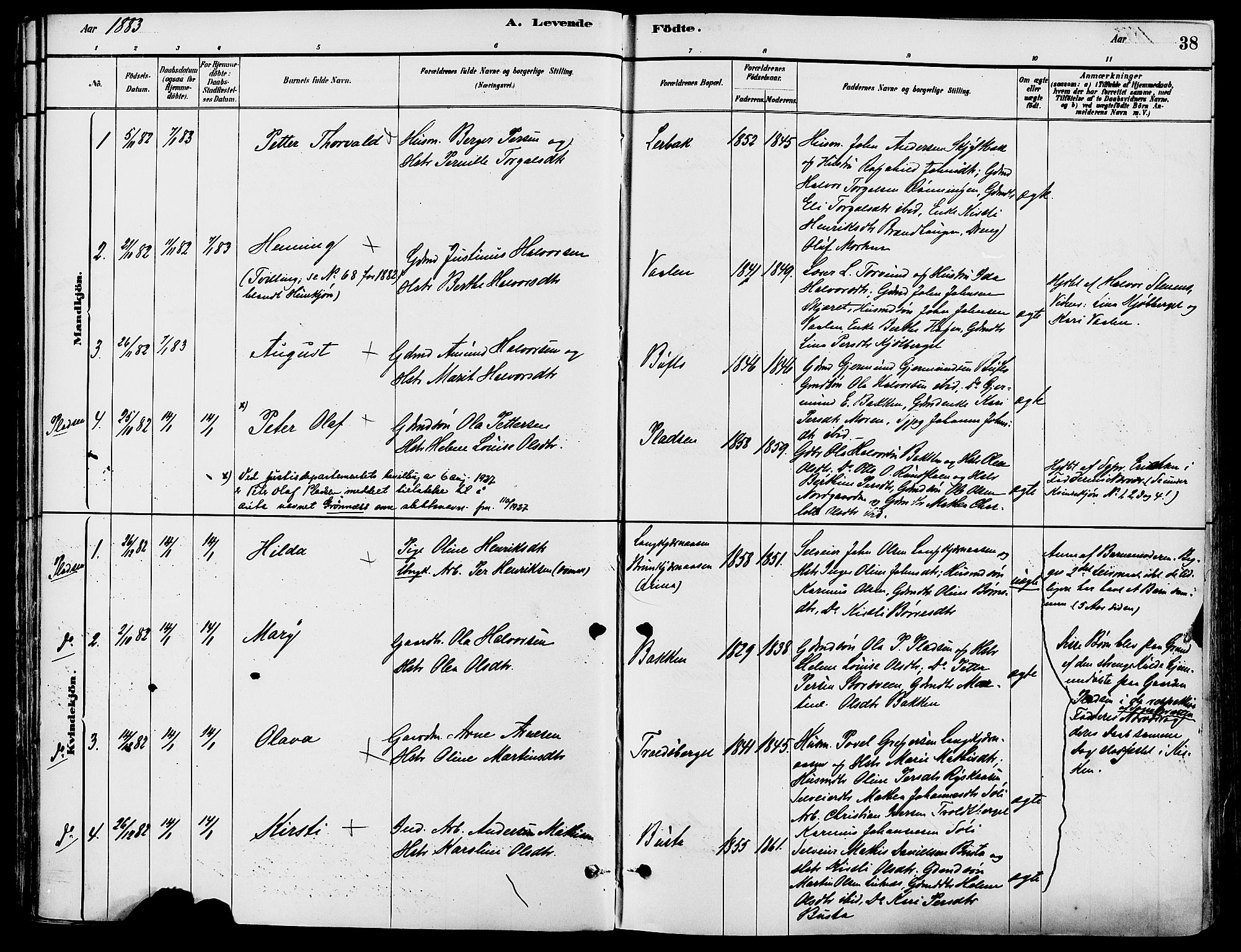 Trysil prestekontor, AV/SAH-PREST-046/H/Ha/Haa/L0008: Ministerialbok nr. 8, 1881-1897, s. 38