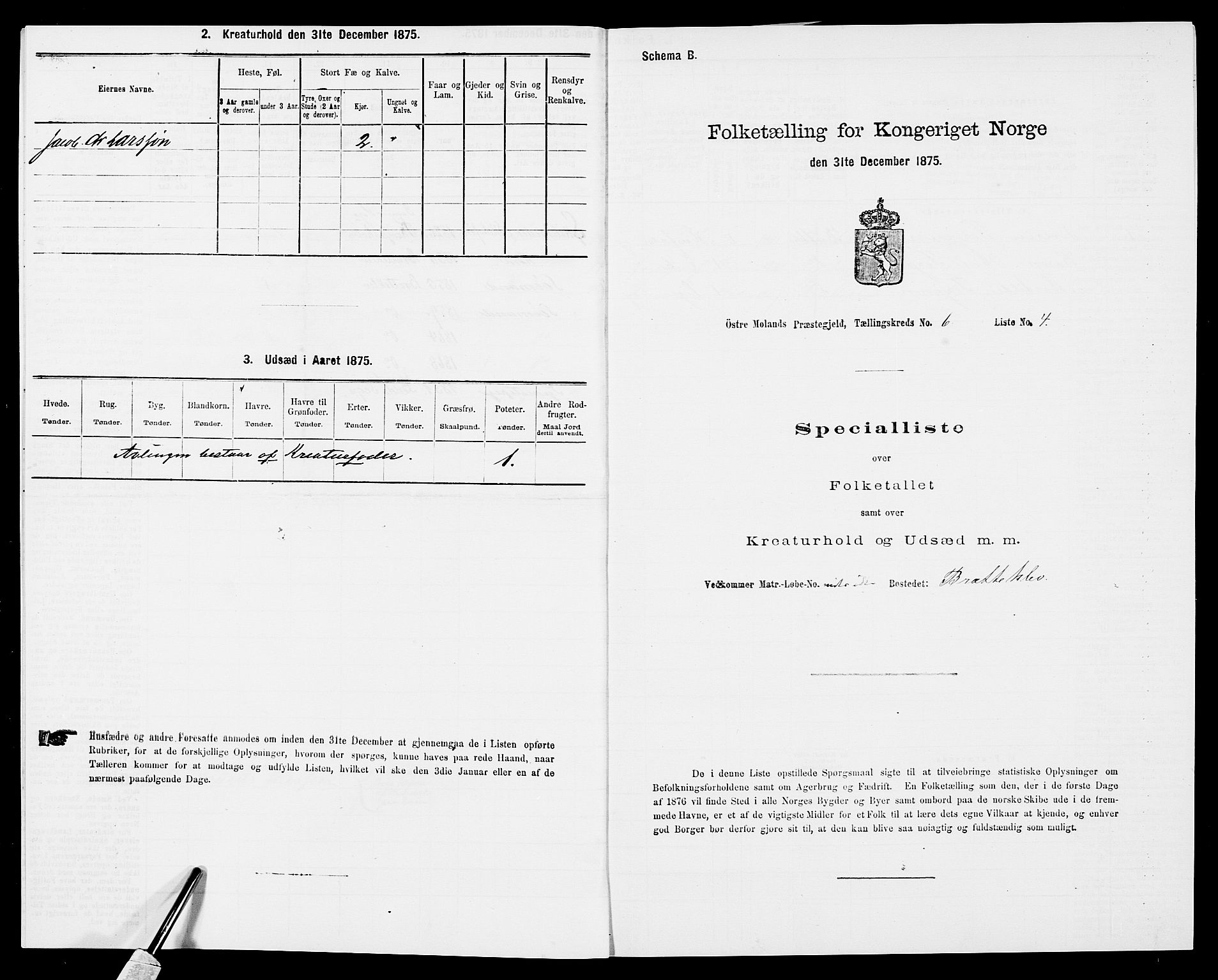 SAK, Folketelling 1875 for 0918P Austre Moland prestegjeld, 1875, s. 2036