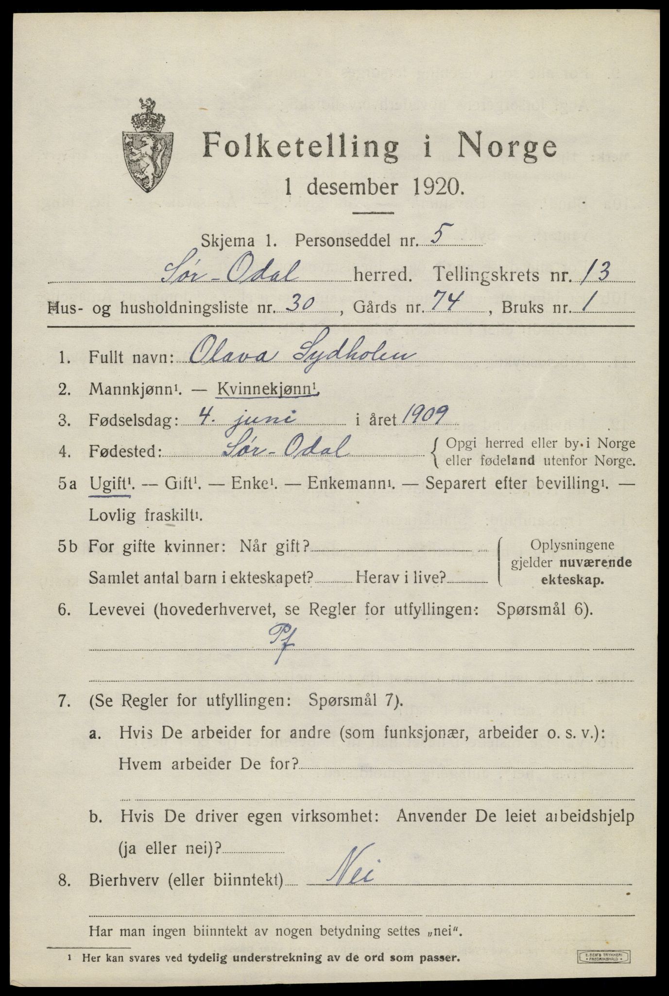 SAH, Folketelling 1920 for 0419 Sør-Odal herred, 1920, s. 13303