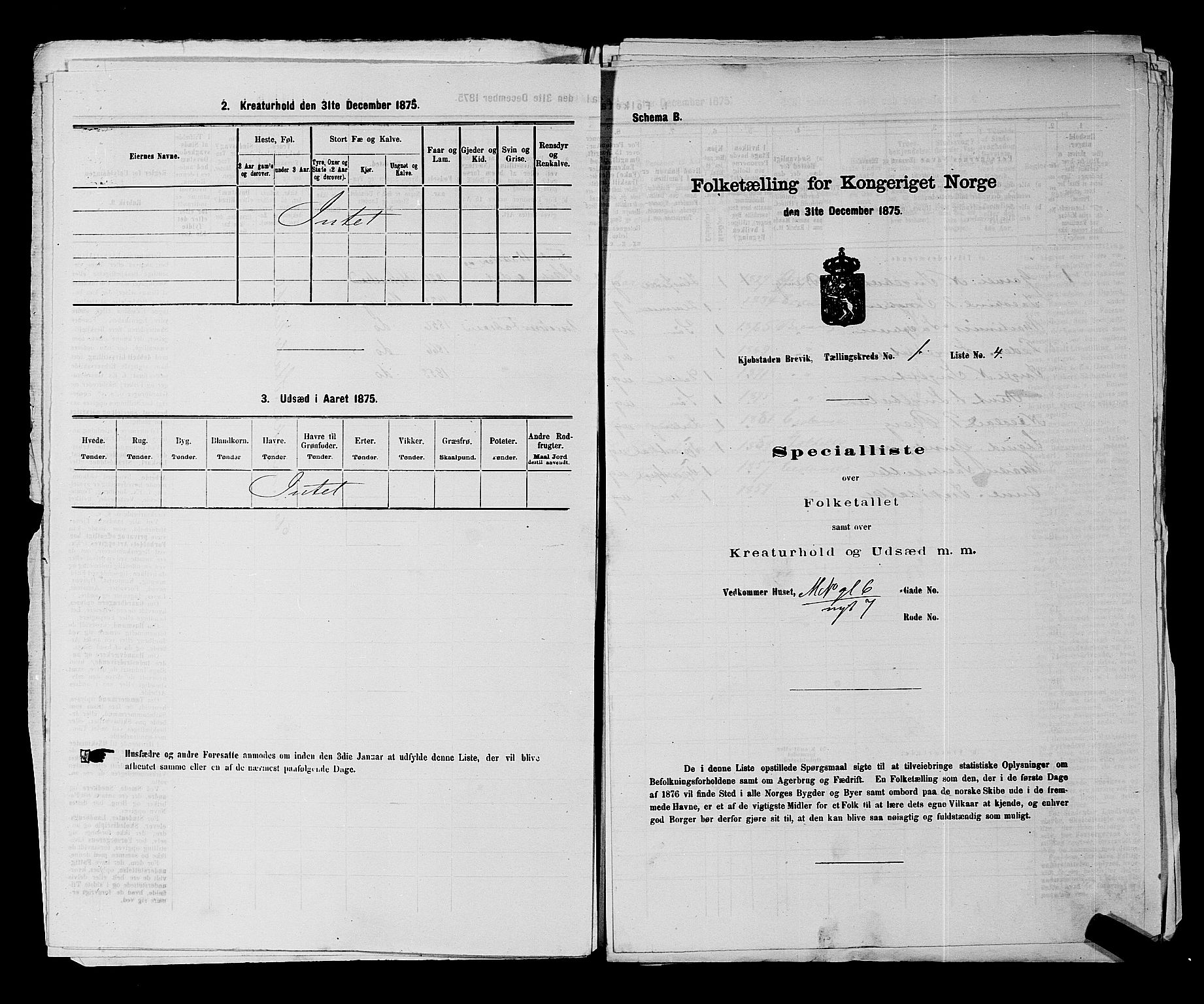 SAKO, Folketelling 1875 for 0804P Brevik prestegjeld, 1875, s. 29