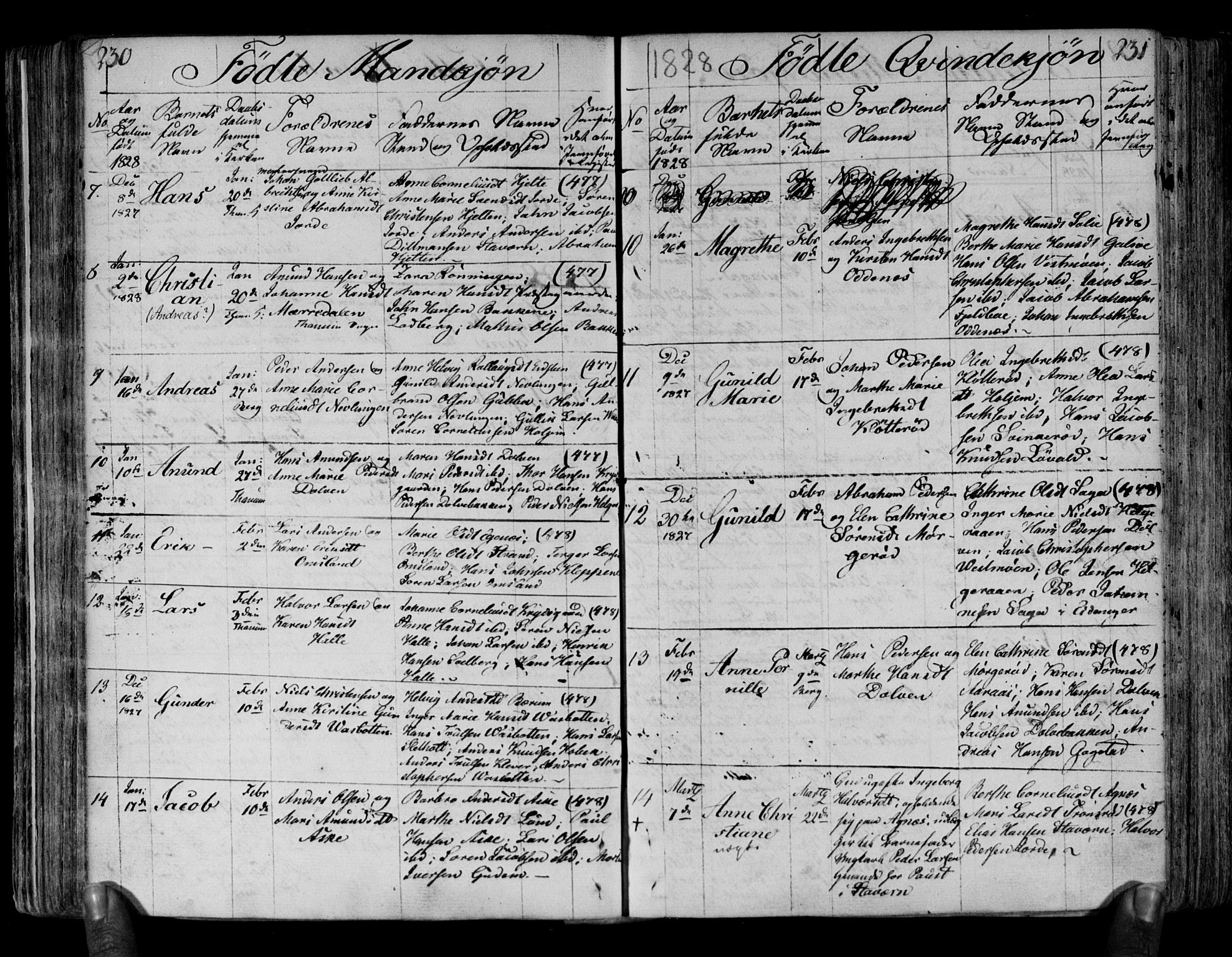 Brunlanes kirkebøker, SAKO/A-342/F/Fa/L0002: Ministerialbok nr. I 2, 1802-1834, s. 230-231