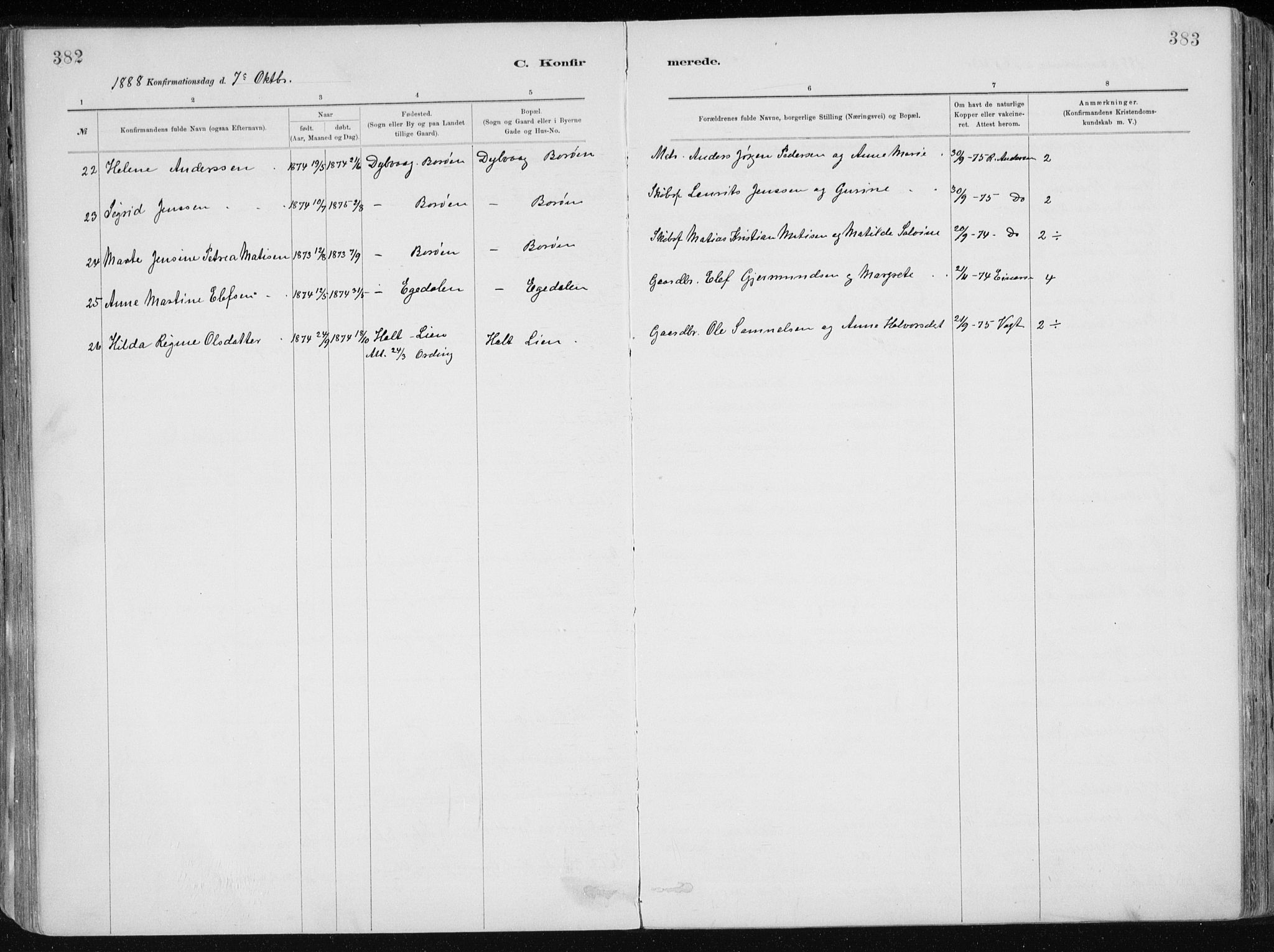 Dypvåg sokneprestkontor, AV/SAK-1111-0007/F/Fa/Faa/L0008: Ministerialbok nr. A 8, 1885-1906, s. 382-383