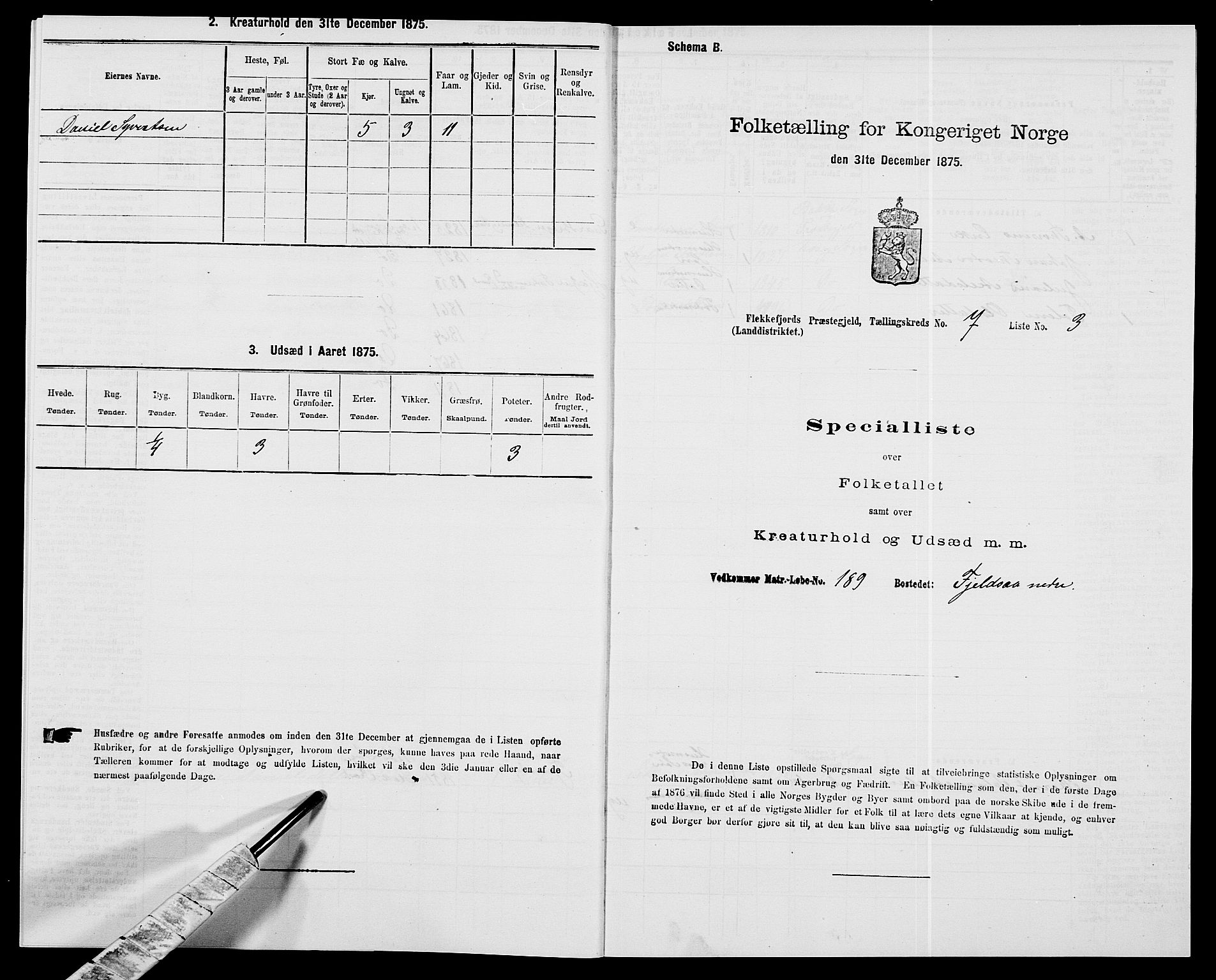 SAK, Folketelling 1875 for 1042L Flekkefjord prestegjeld, Nes sokn og Hidra sokn, 1875, s. 867