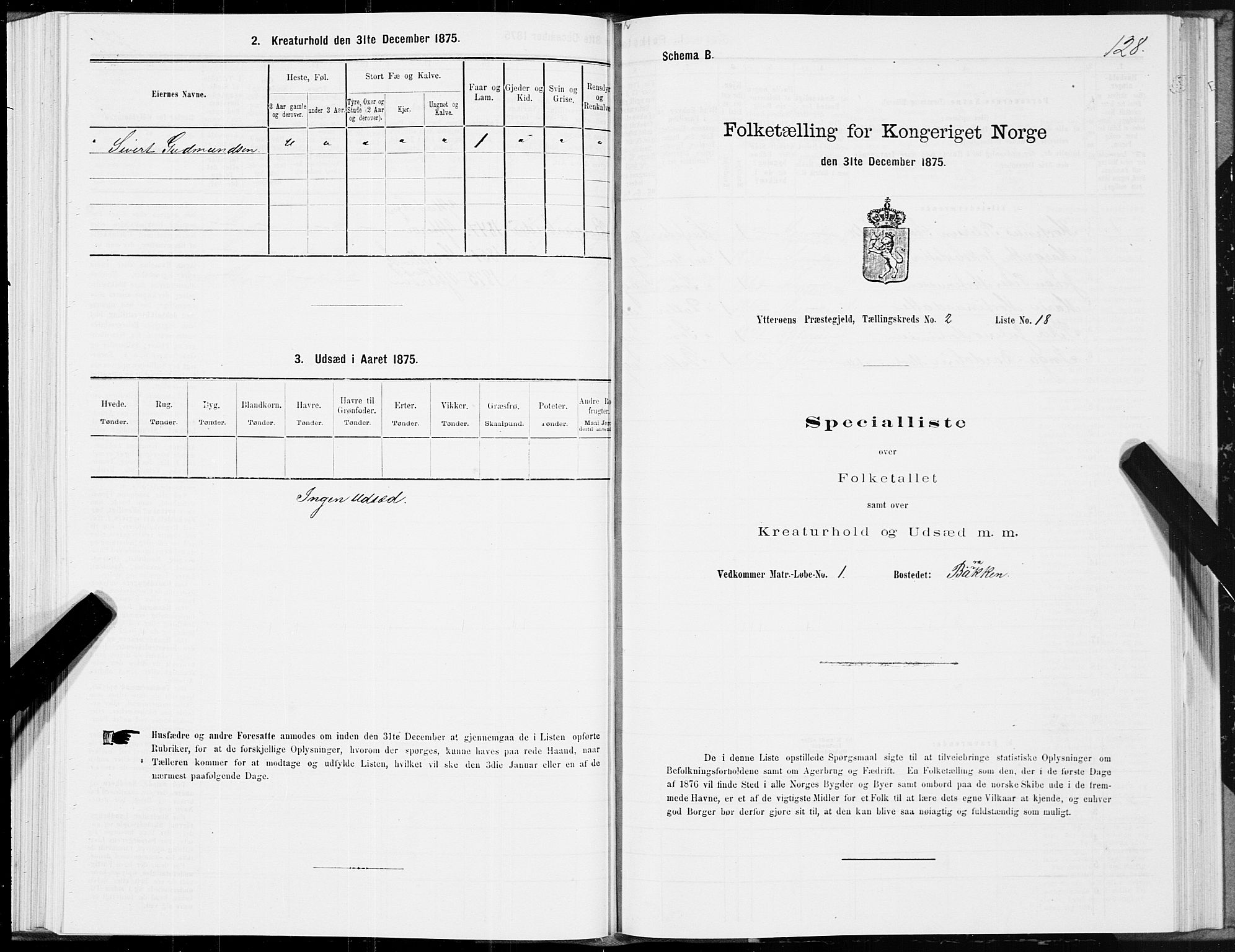 SAT, Folketelling 1875 for 1722P Ytterøy prestegjeld, 1875, s. 1128