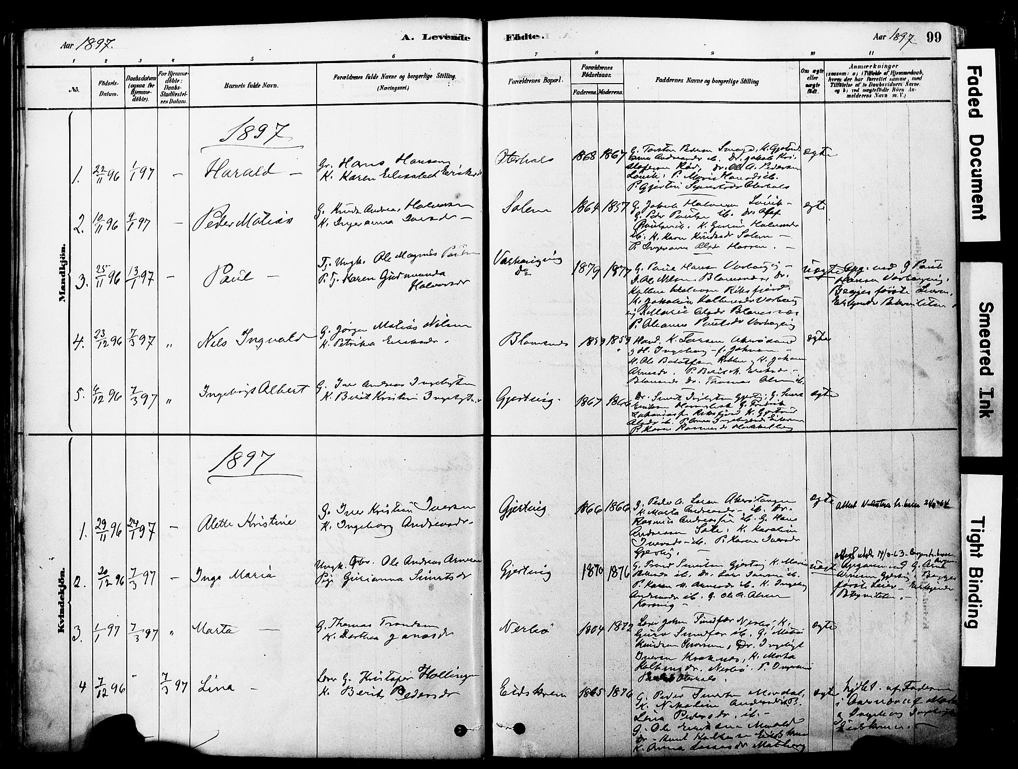 Ministerialprotokoller, klokkerbøker og fødselsregistre - Møre og Romsdal, SAT/A-1454/560/L0721: Ministerialbok nr. 560A05, 1878-1917, s. 99