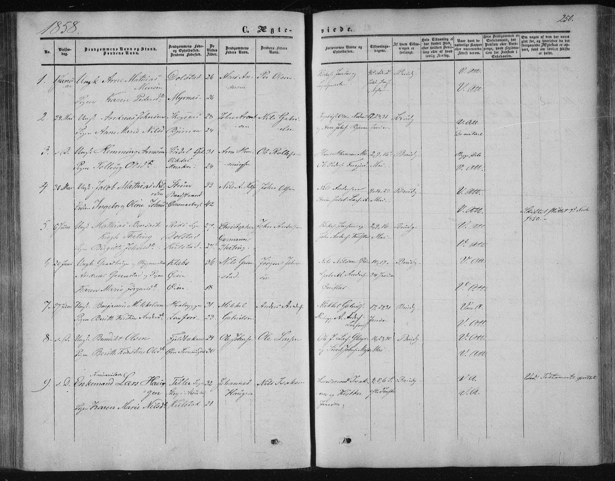 Ministerialprotokoller, klokkerbøker og fødselsregistre - Nordland, SAT/A-1459/820/L0293: Ministerialbok nr. 820A14, 1855-1865, s. 250