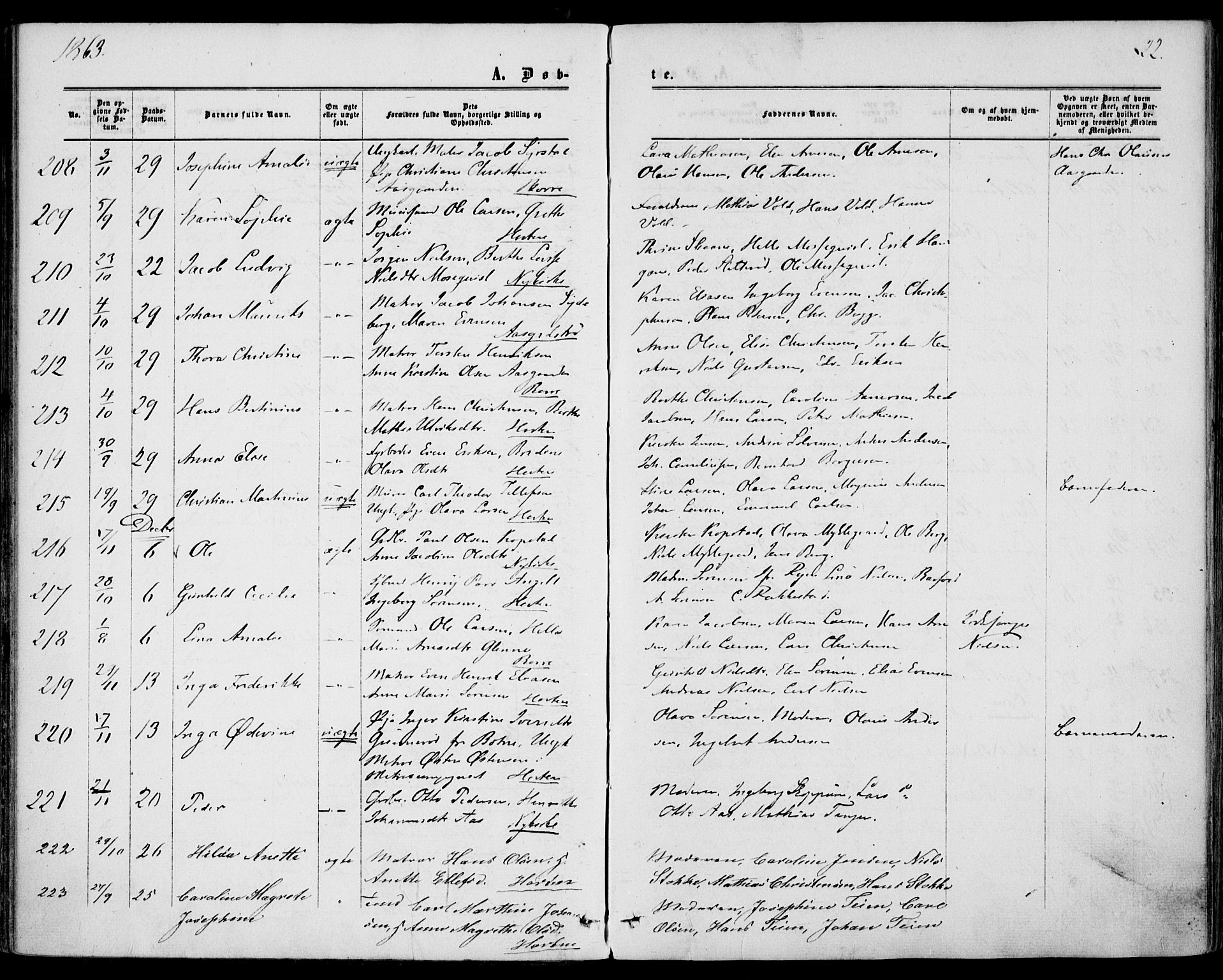 Borre kirkebøker, AV/SAKO-A-338/F/Fa/L0007: Ministerialbok nr. I 7, 1862-1867, s. 22