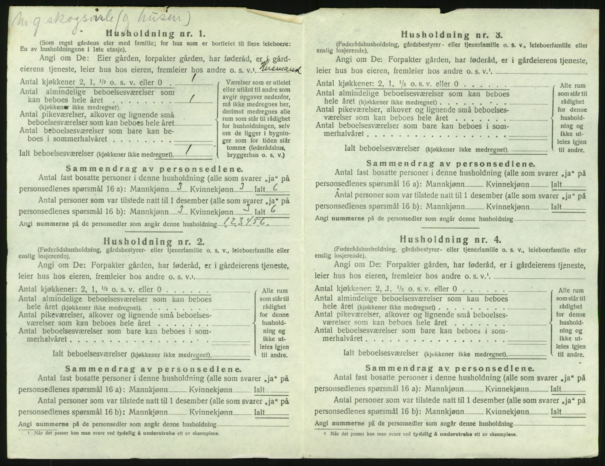 SAH, Folketelling 1920 for 0536 Søndre Land herred, 1920, s. 1220