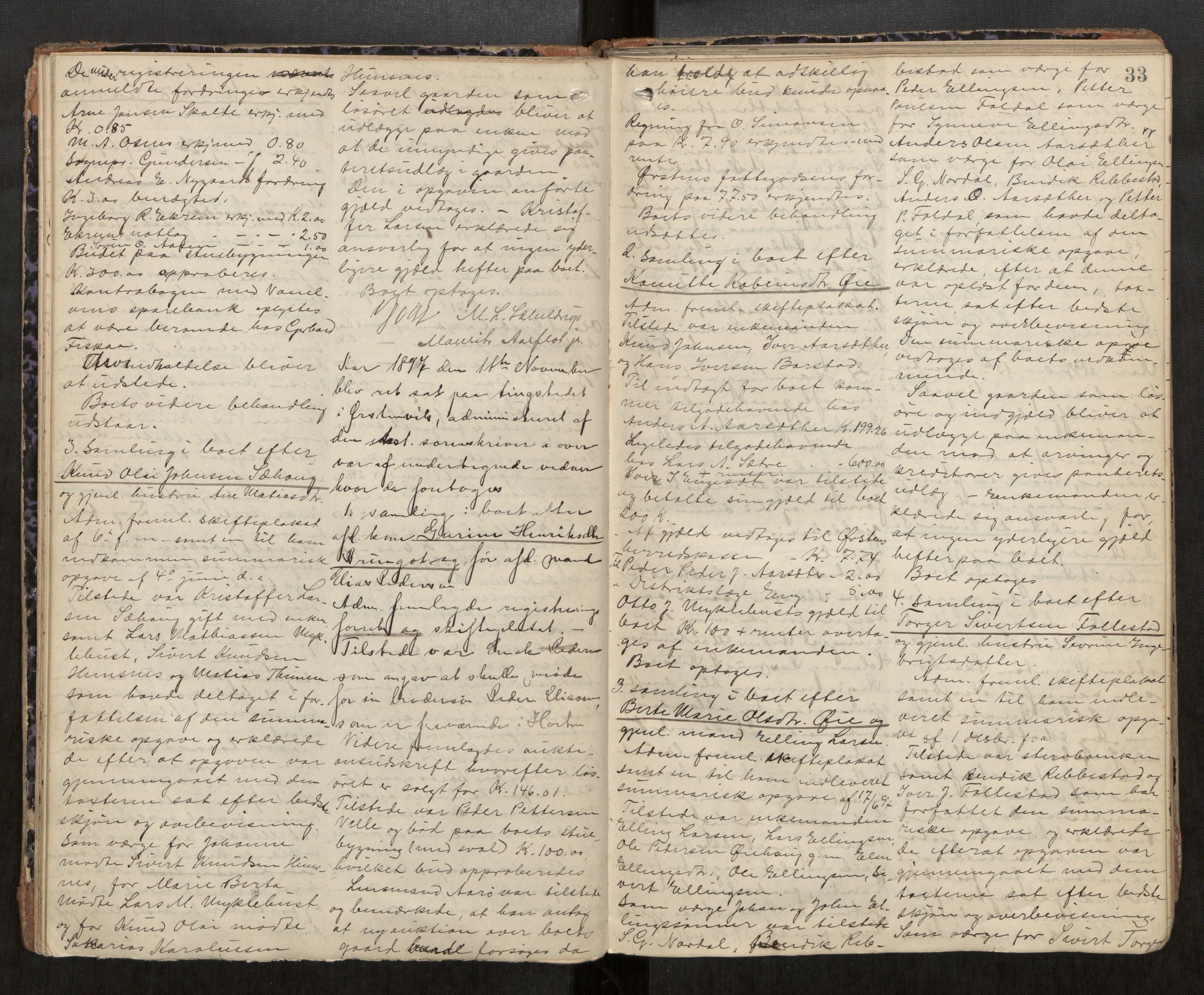 Søre Sunnmøre sorenskriveri, AV/SAT-A-4122/1/3/3B/L0007: Skiftebehandlings- / Skifteforhandlingsprotokollar, 1893-1902, s. 33