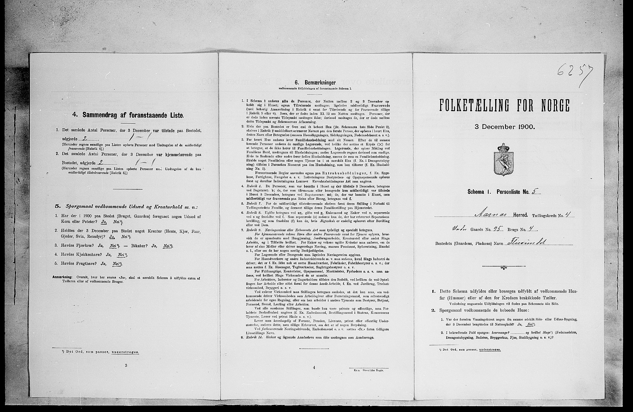 SAH, Folketelling 1900 for 0425 Åsnes herred, 1900, s. 574